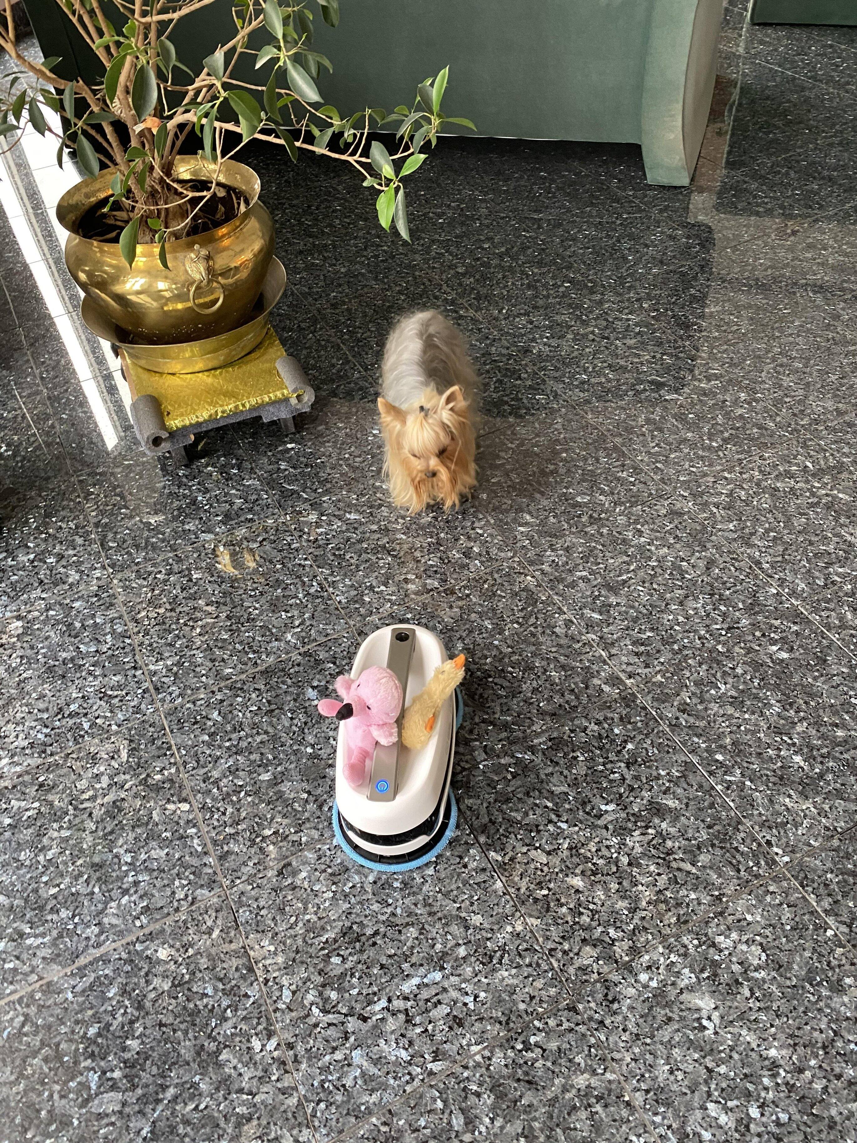 Flames and toys 1, click to load a larger version