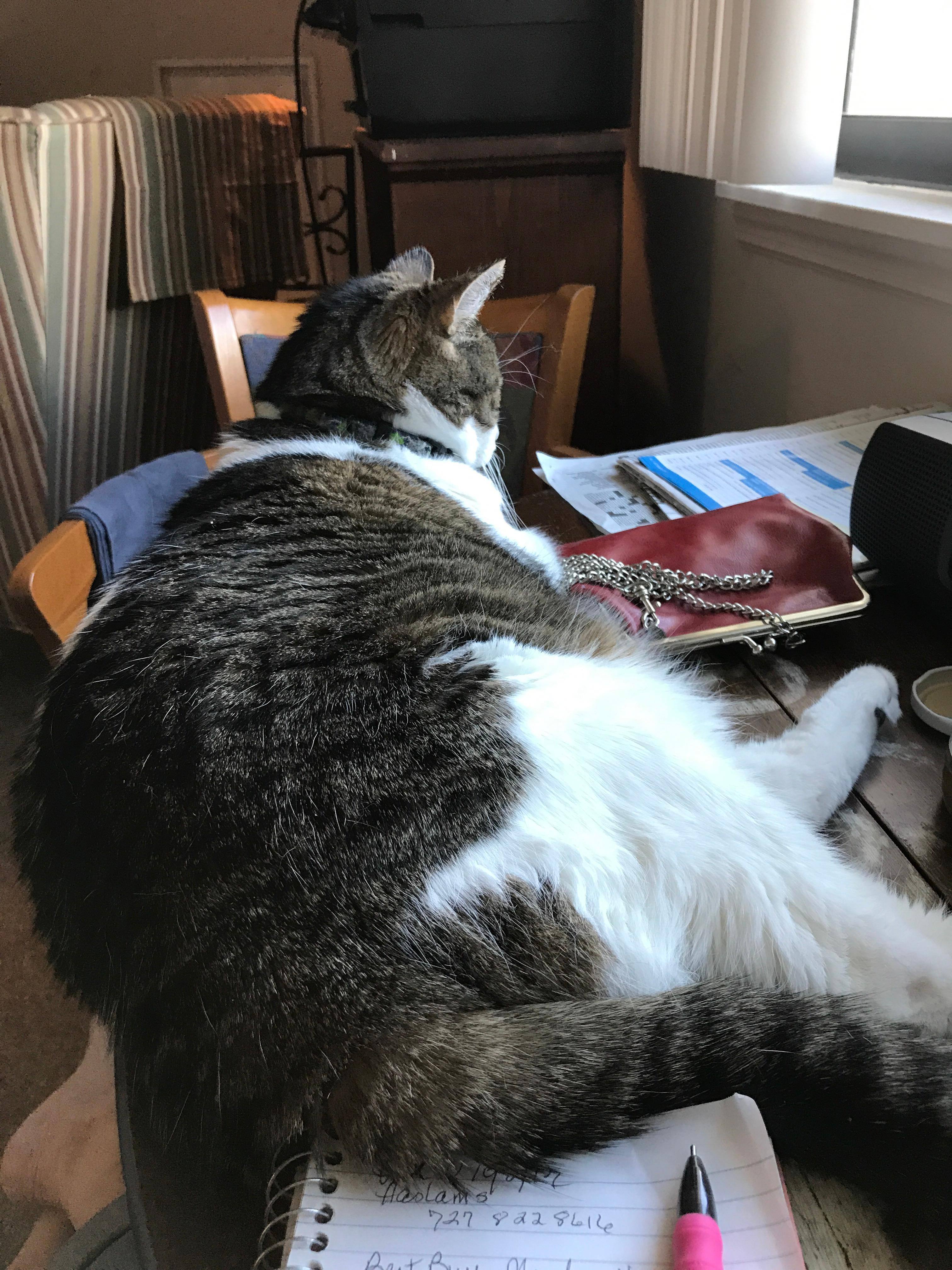 Marco helping me w/ review., click to load a larger version