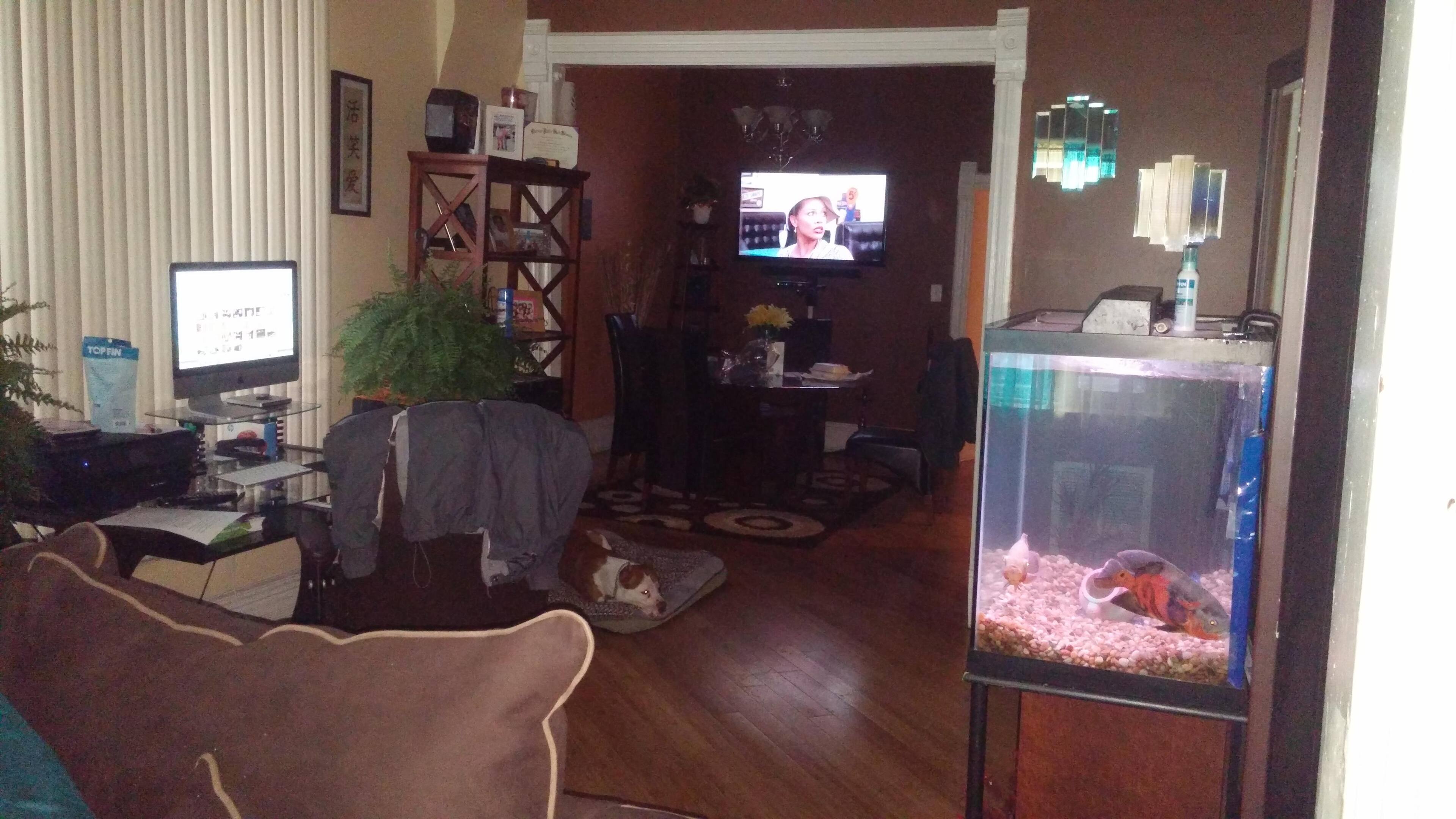 51 in samsung open box along with insignia sound bar mounted, click to load a larger version