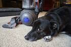 dyson 216041