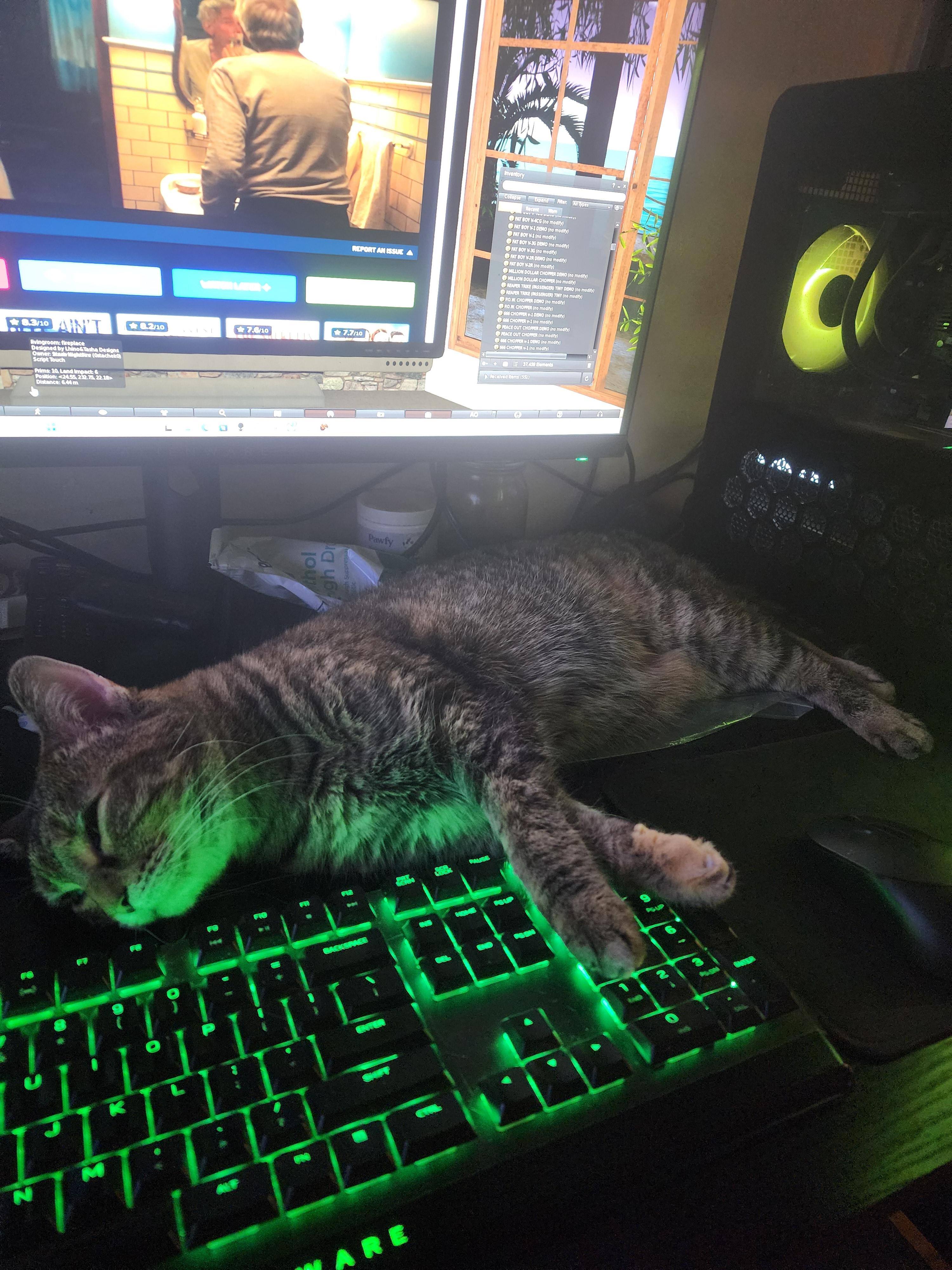 Customer provided image, click to load a larger version