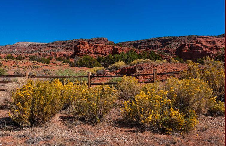 Jemez, NM, click to load a larger version