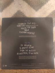 【新品未開封品】PANTERA / History Of Hostility PANTERA “History Of Hostility” /LP/
