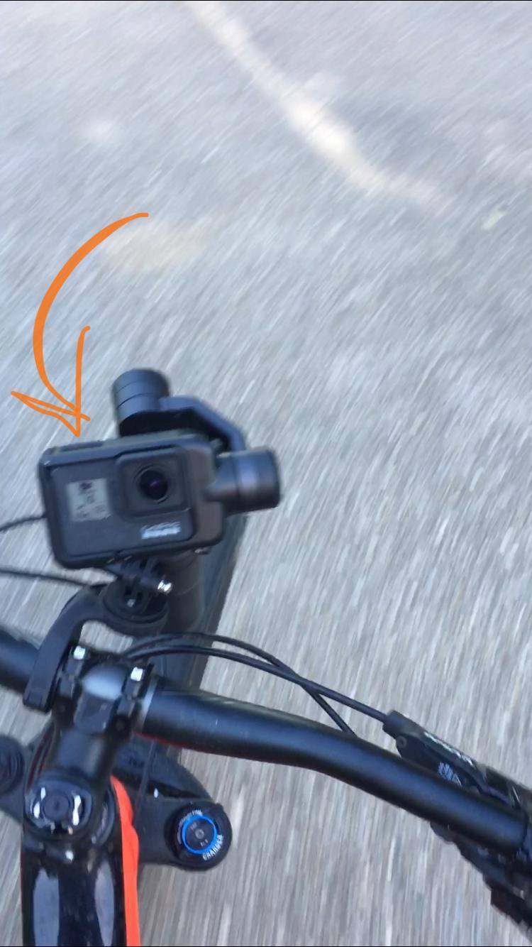 karma alone on handle-bar, rider-facing., click to load a larger version