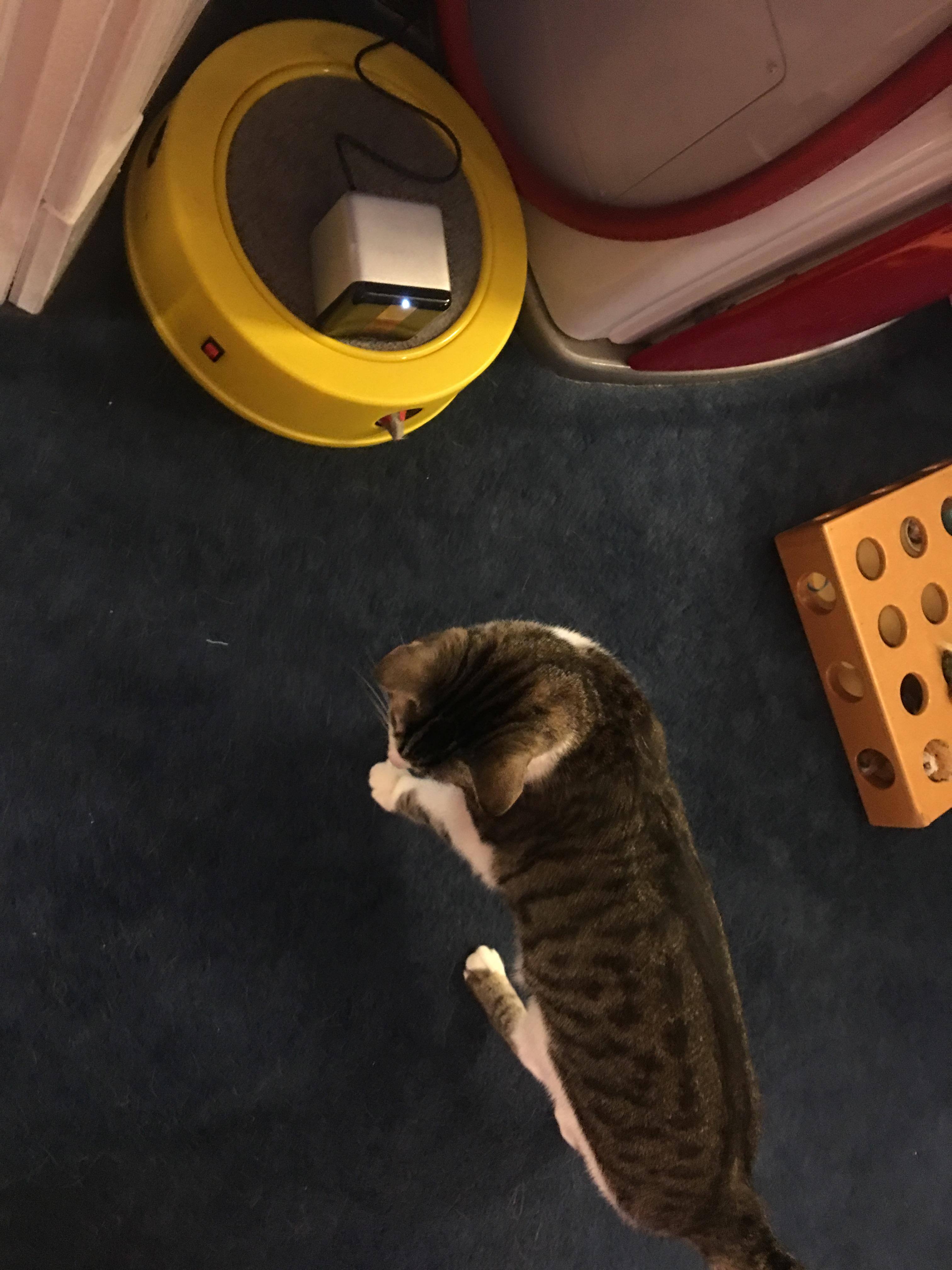 Customer provided image, click to load a larger version