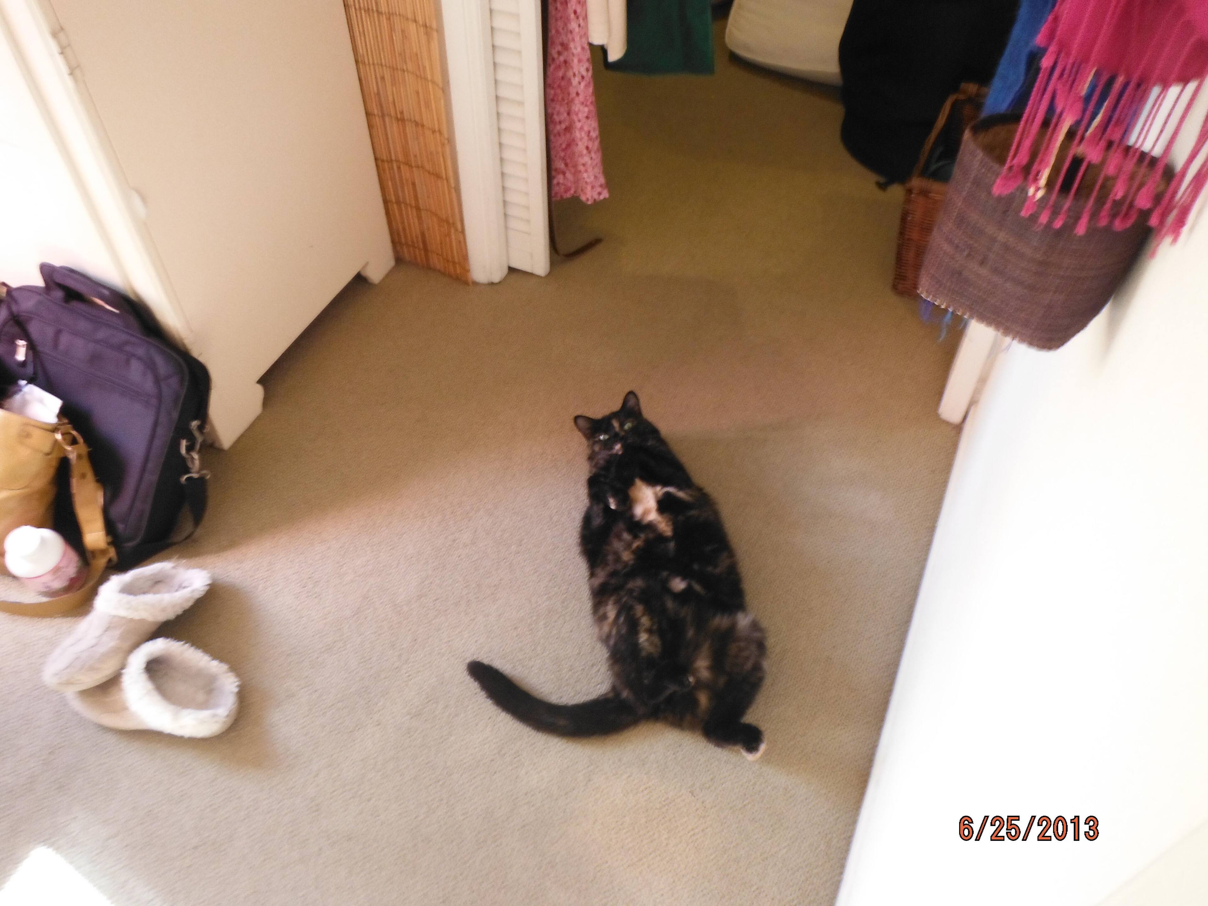 Chilling, click to load a larger version