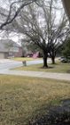 Taken with tablet camera. Outside shots are usable. This was a overcast day and it captured the light well, but details are fuzzy. I was hoping the 13MP would be sharper., click to load a larger version