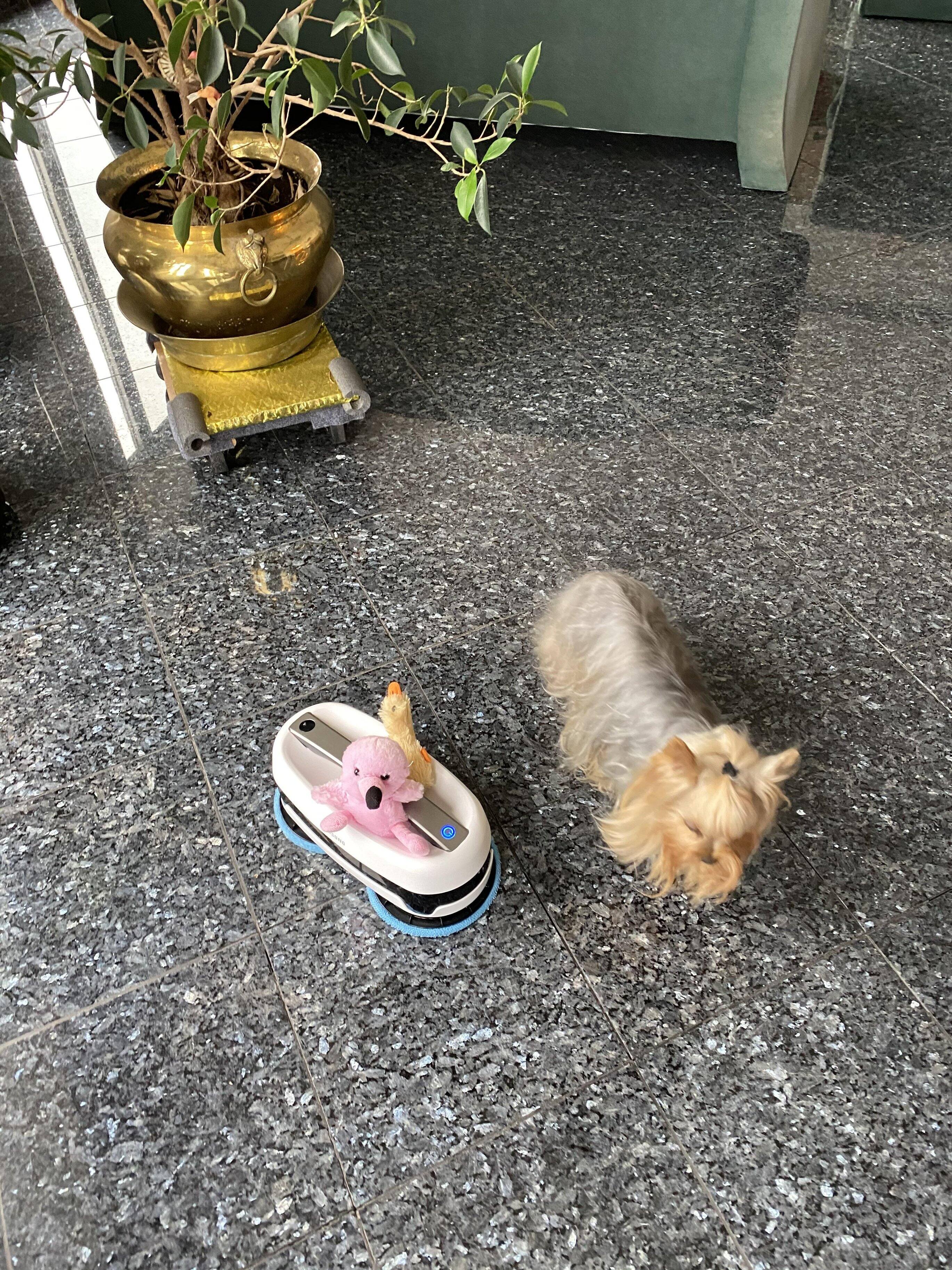 Flame and toys 2, click to load a larger version