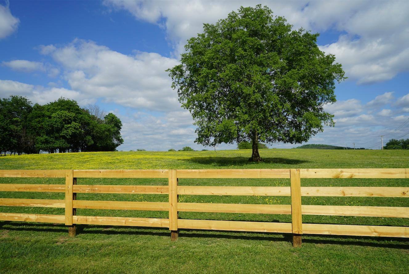 Photo by J Witherspoon Nashville TN file size reduced for upload to this Review Site, click to load a larger version