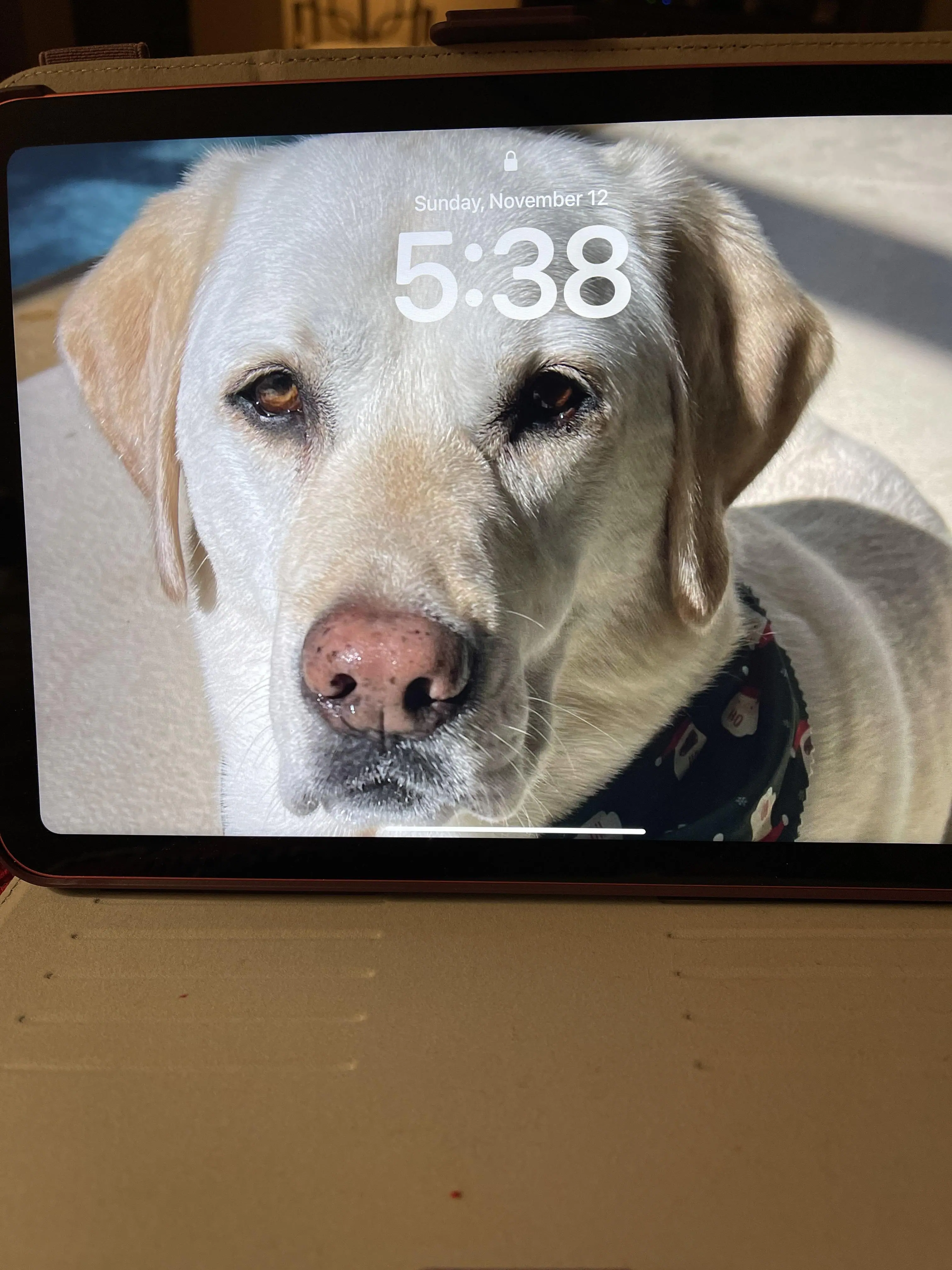 Customer provided, click to load a larger version