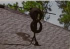 Indoor/Outdoor HDTV Clearstream 2Max OTA Antenna, click to load a larger version