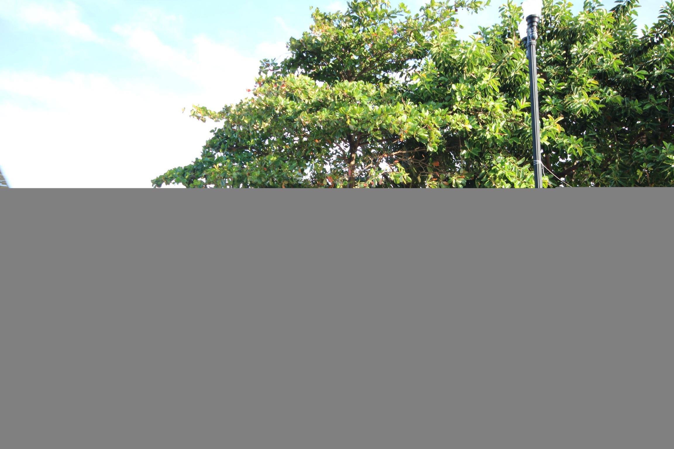 Memory card corrupted files on its own, click to load a larger version