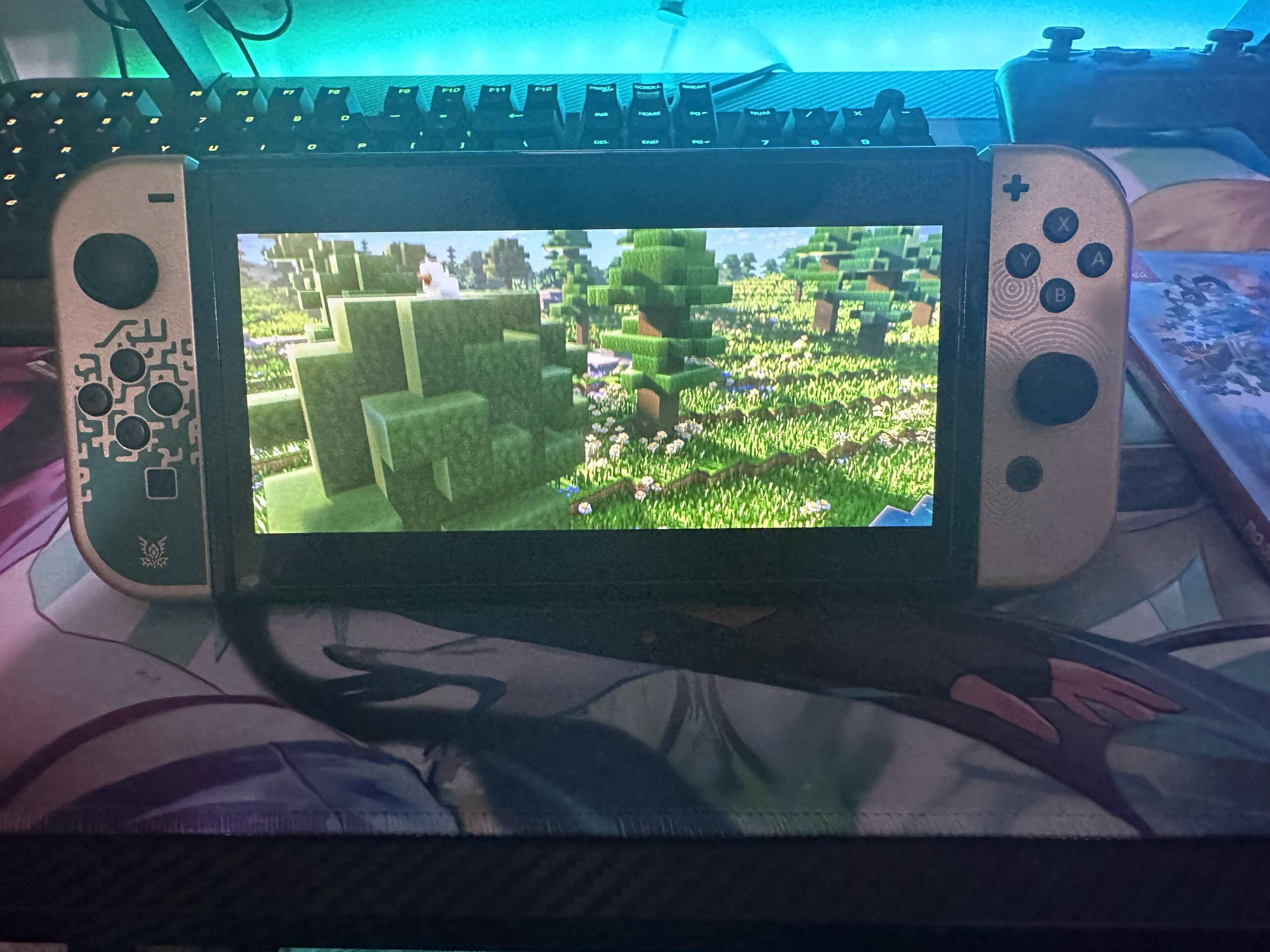 Minecraft Legends Deluxe Edition Nintendo Switch – OLED Model