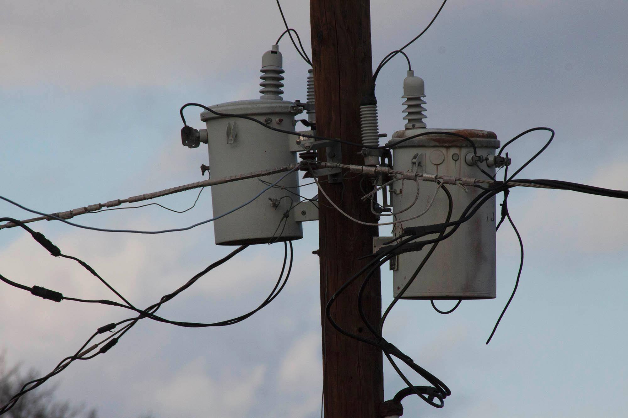 50D at 500mm, click to load a larger version