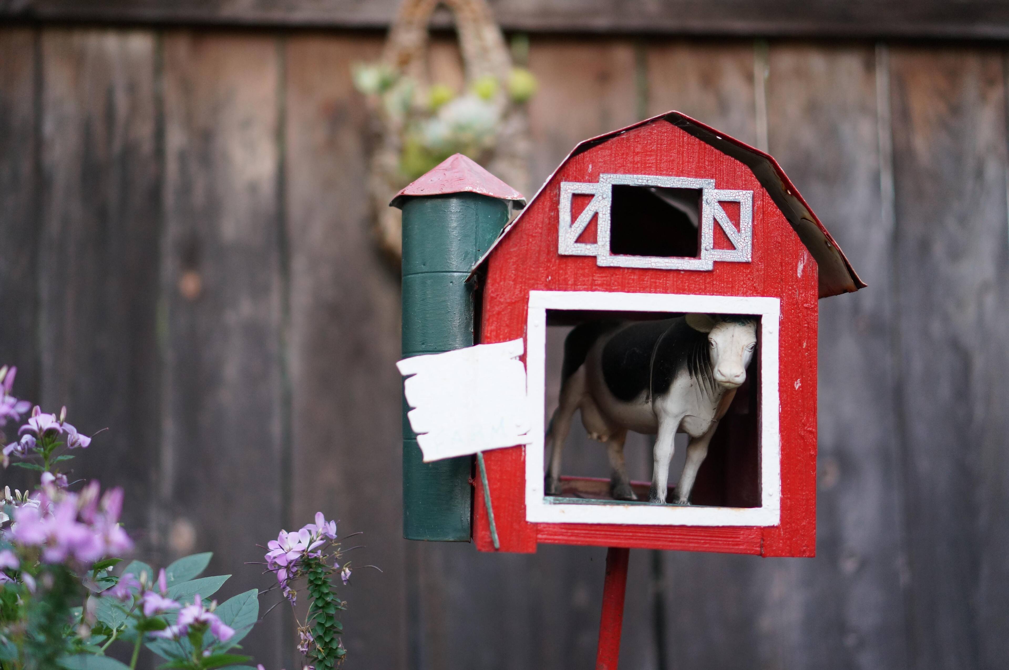 Outdoor shot in low-light testing "DoF", click to load a larger version
