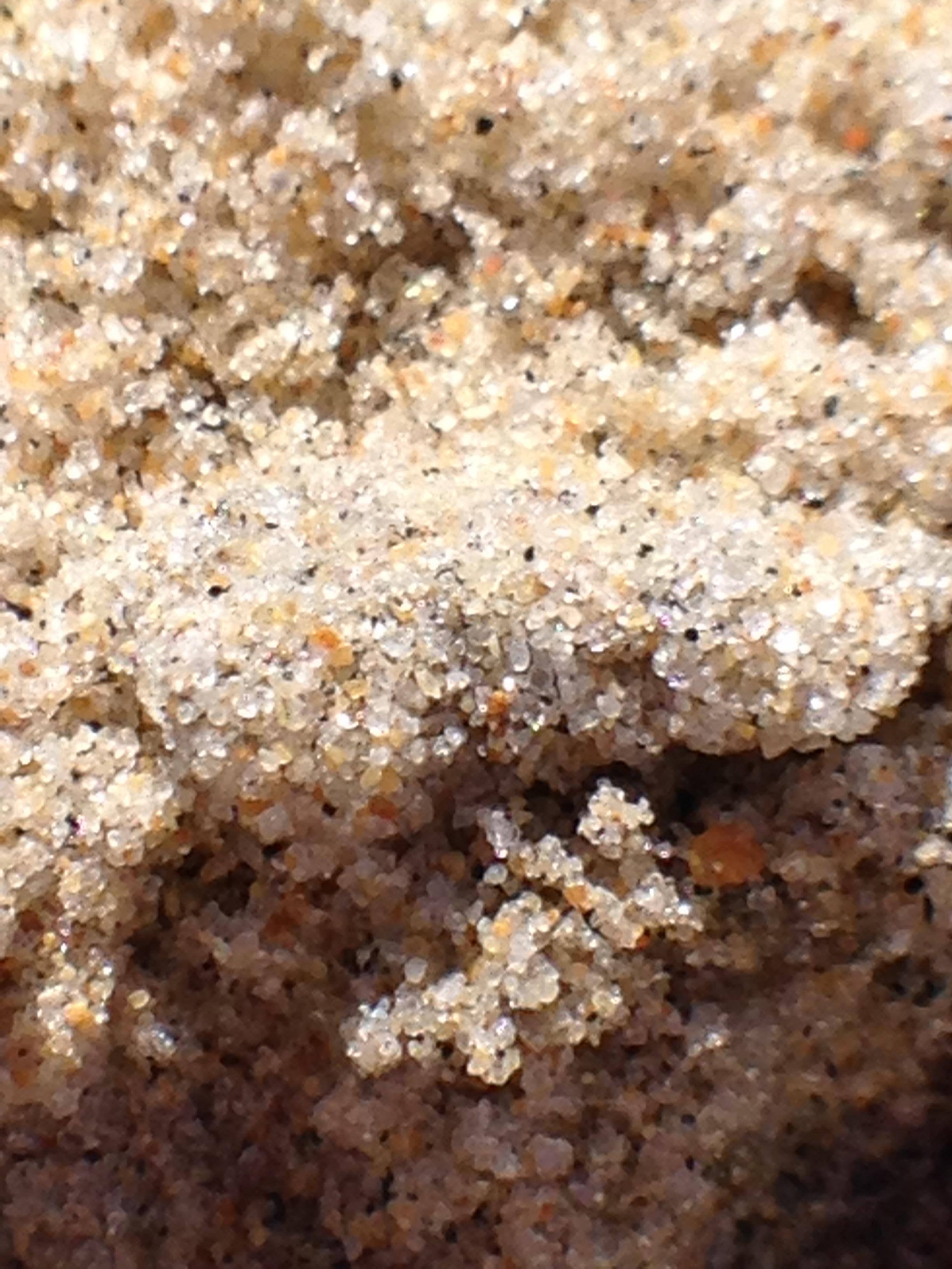 This is the up close photo, click to load a larger version