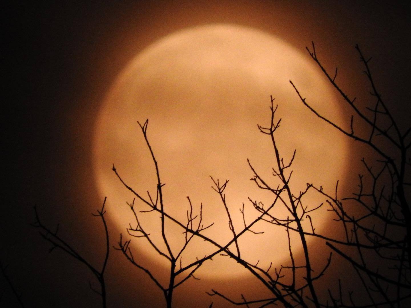 August 2015 Super Moon, click to load a larger version