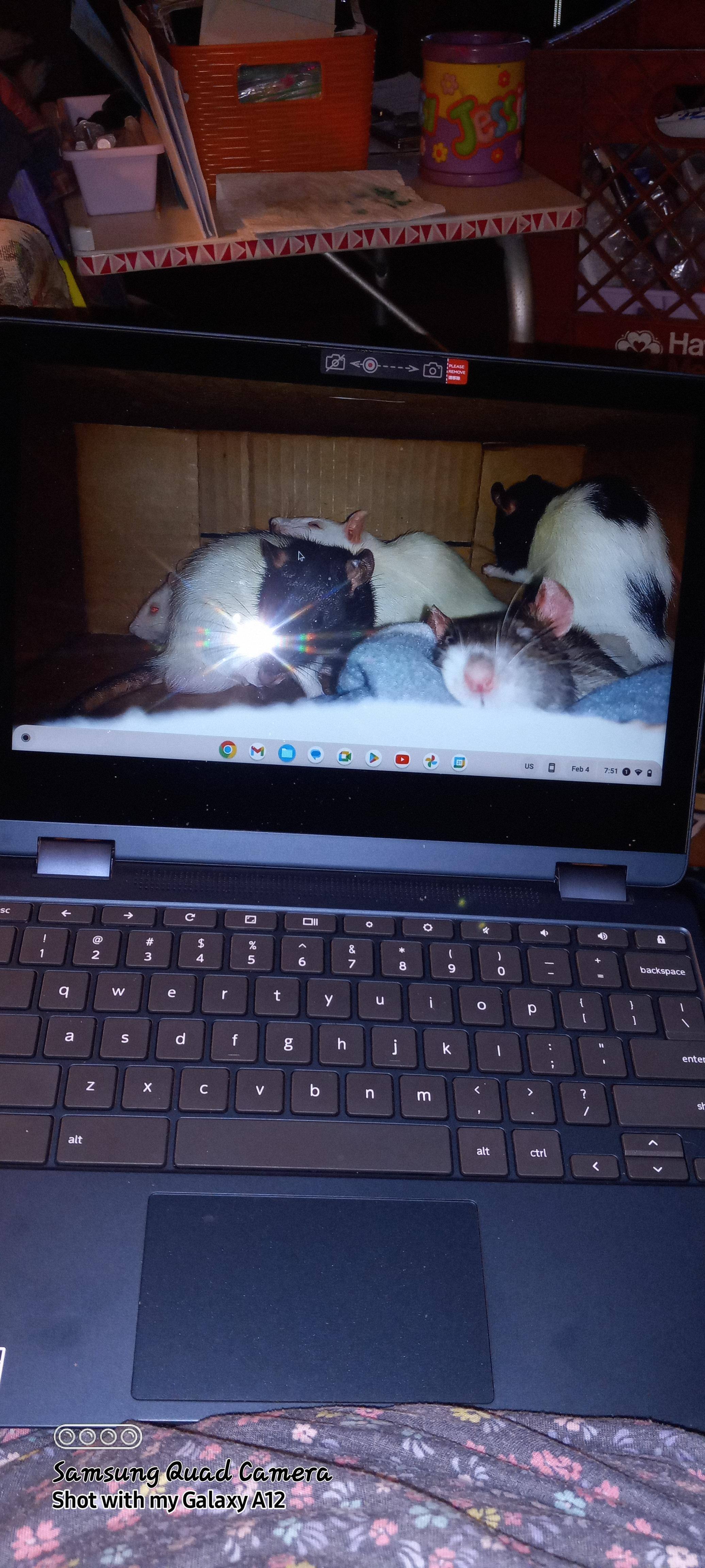 Customer provided, click to load a larger version