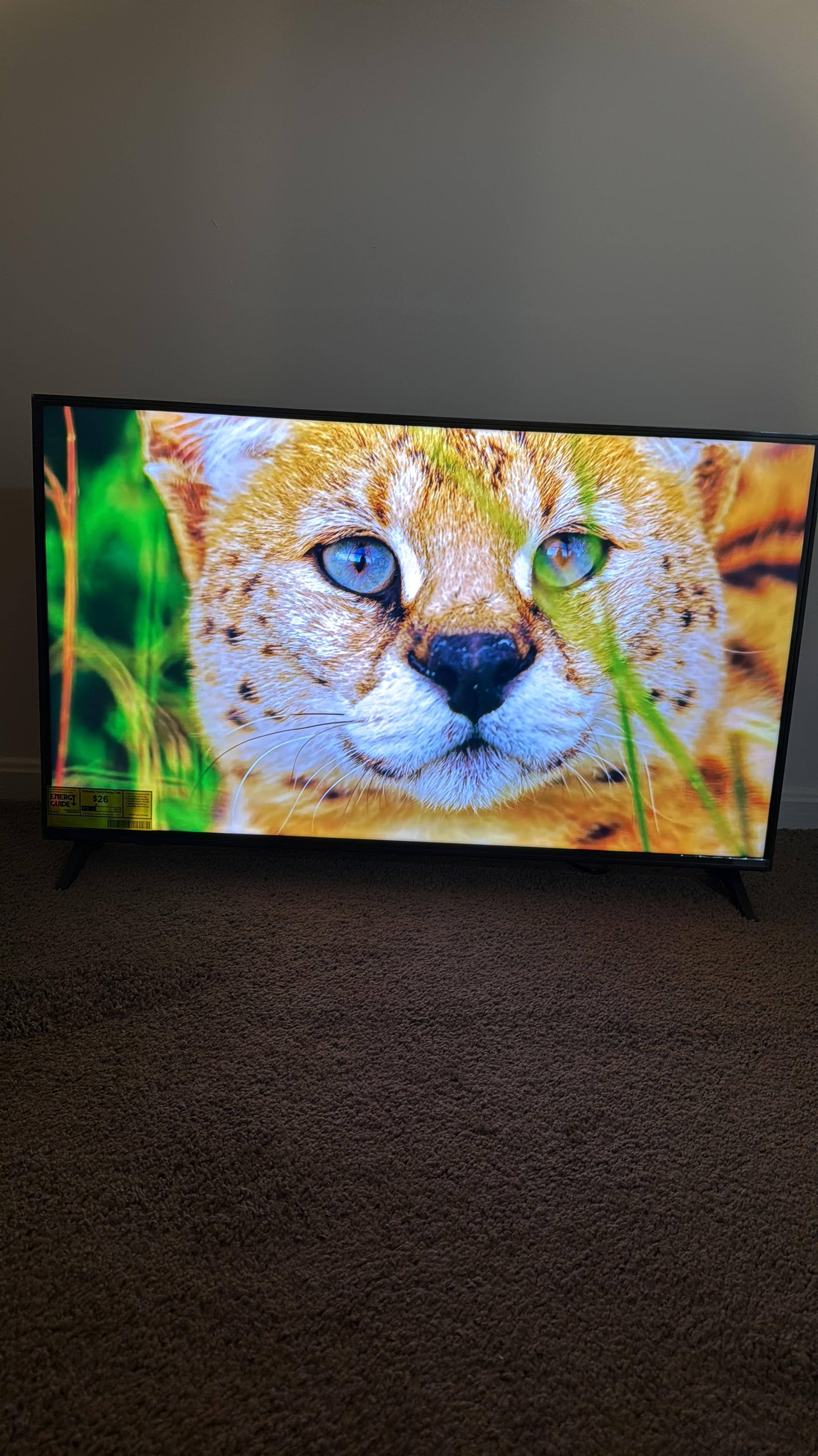 Customer provided image, click to load a larger version