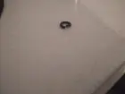 This is the washer to the screw I removed., click to load a larger version