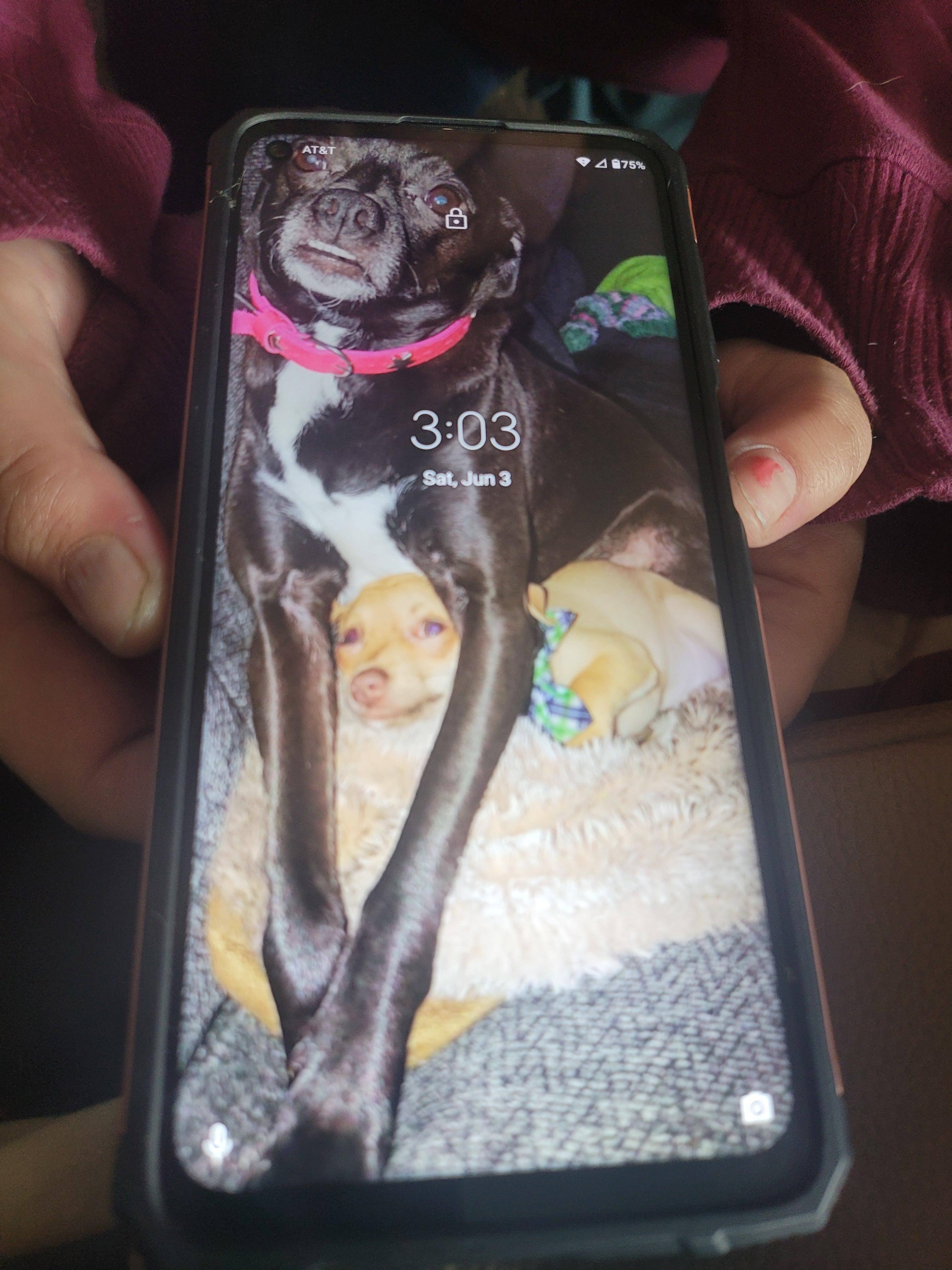 Customer provided, click to load a larger version