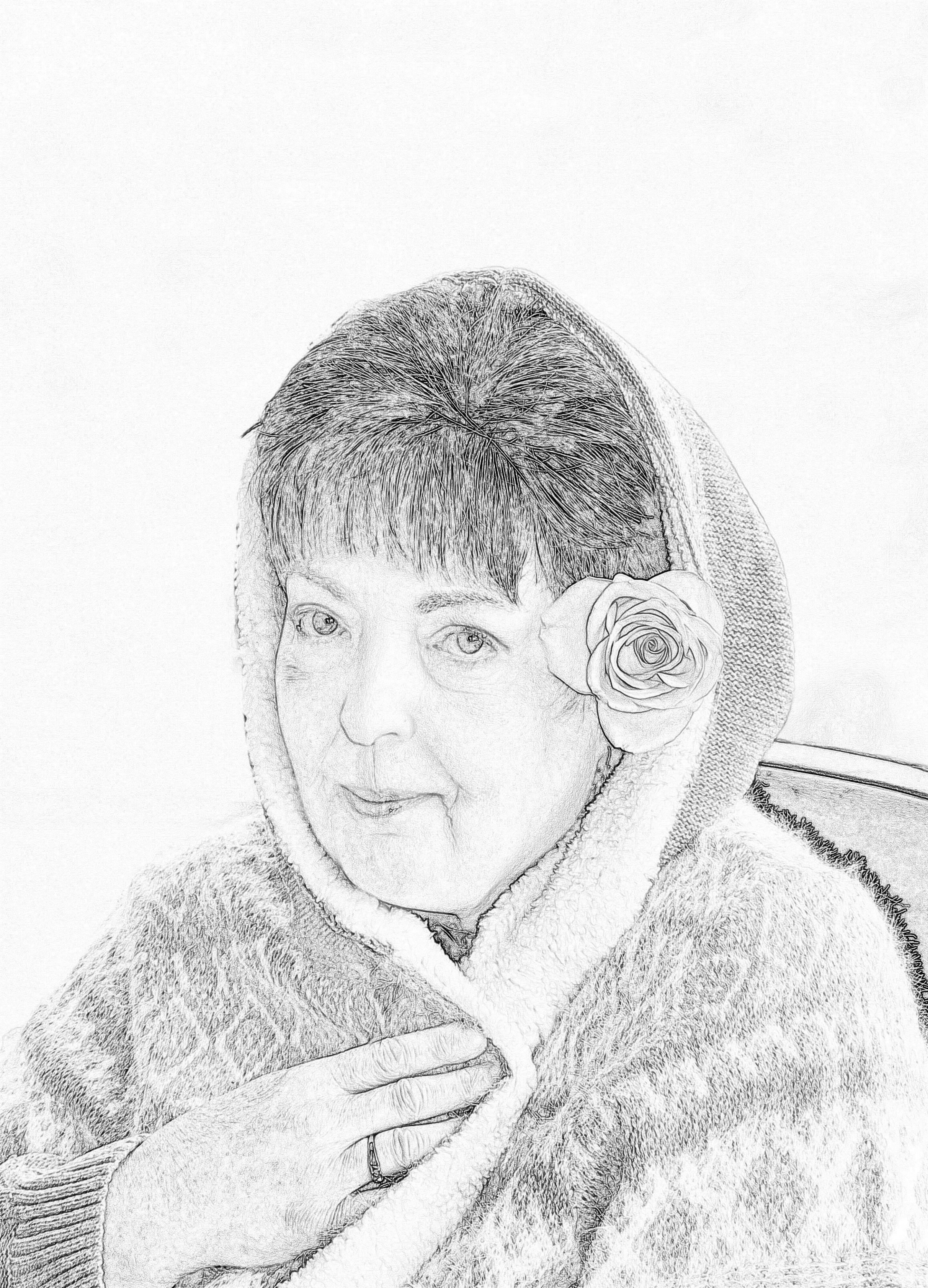The vintage pencil sketch effect., click to load a larger version