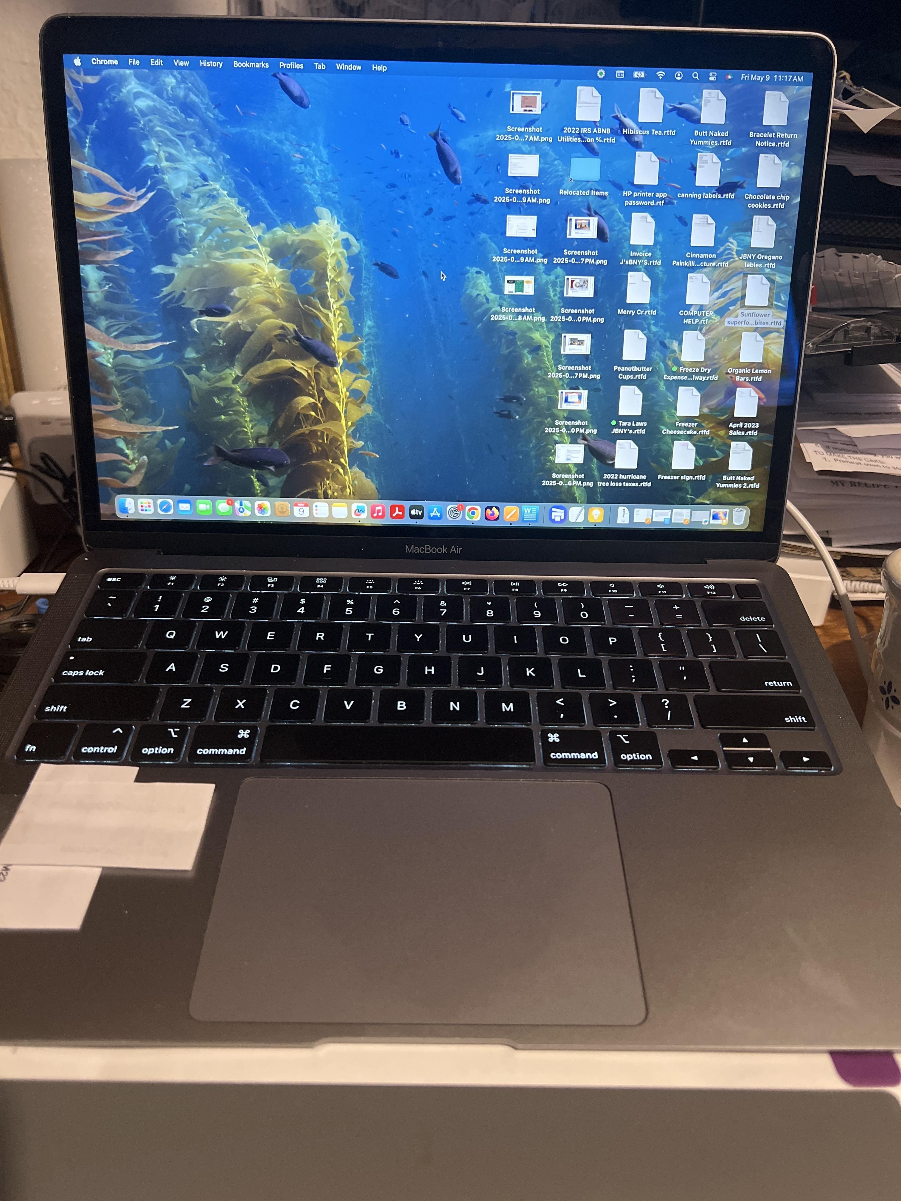 Apple MacBook Air 13.3