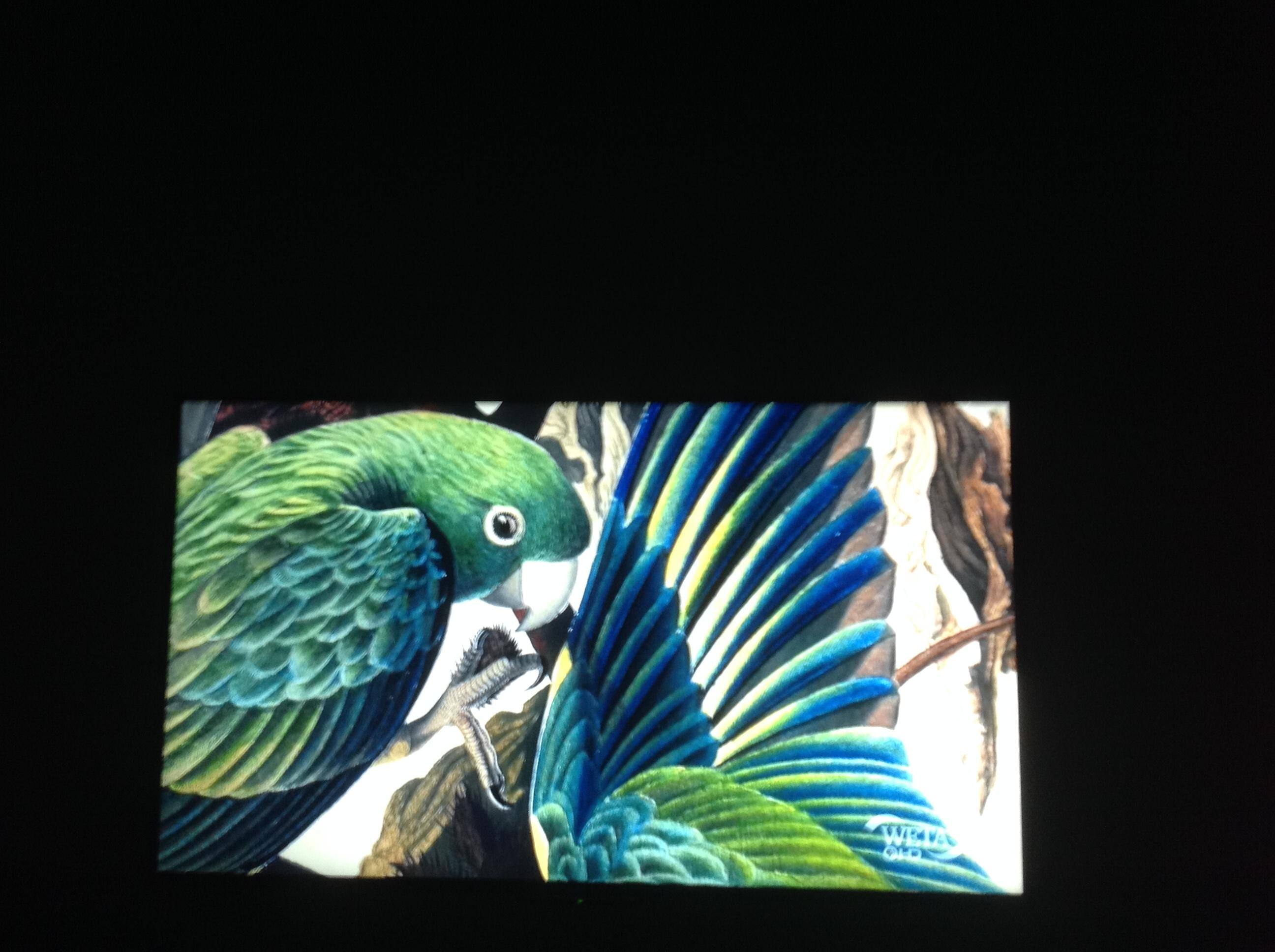 Picture of broadcast TV, click to load a larger version