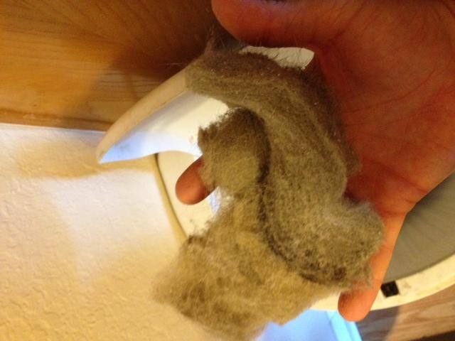 dust, debree and other stuff, click to load a larger version