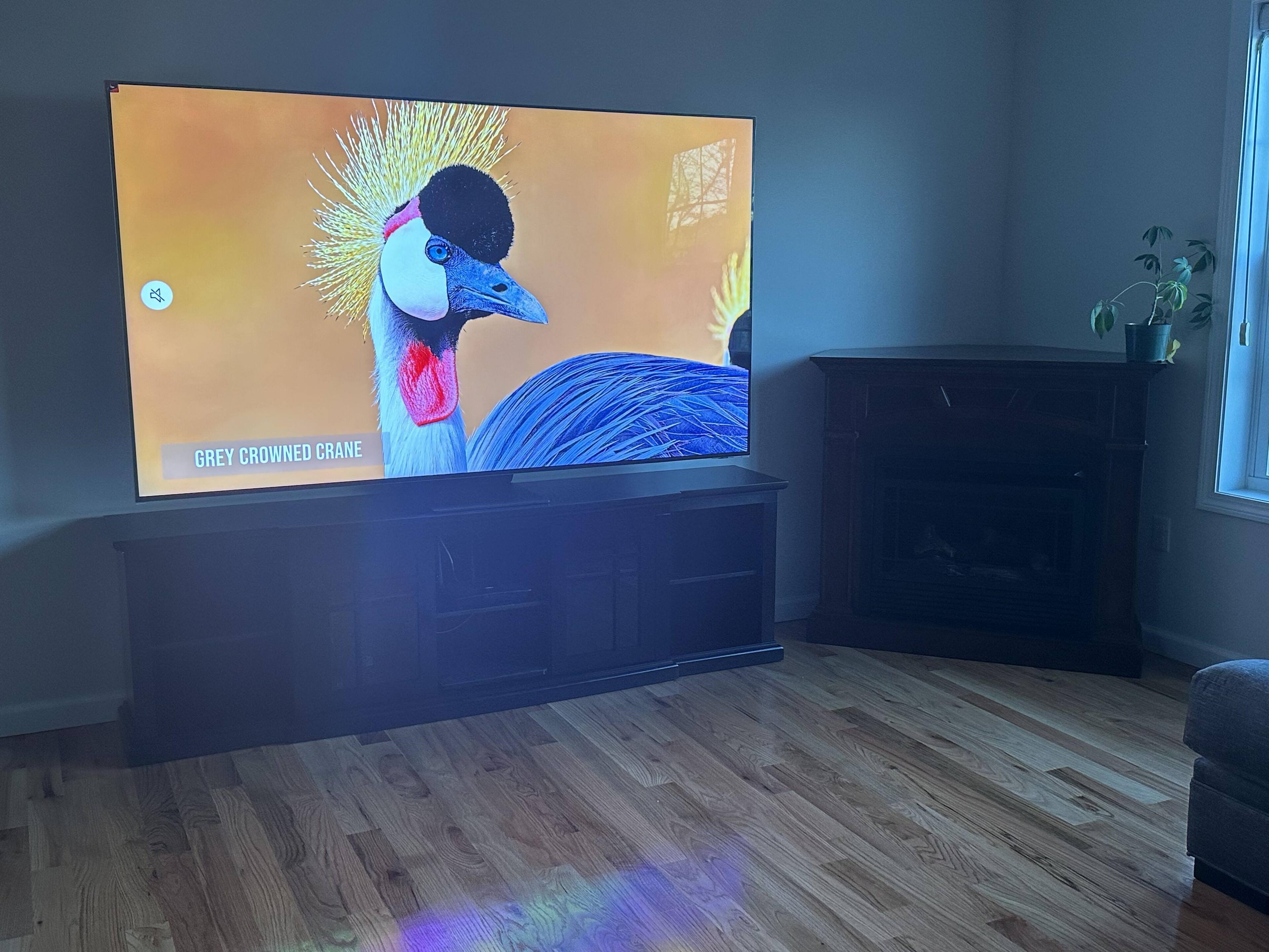 Customer provided image, click to load a larger version