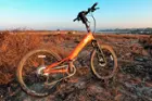 Elliptigo MSUB, click to load a larger version