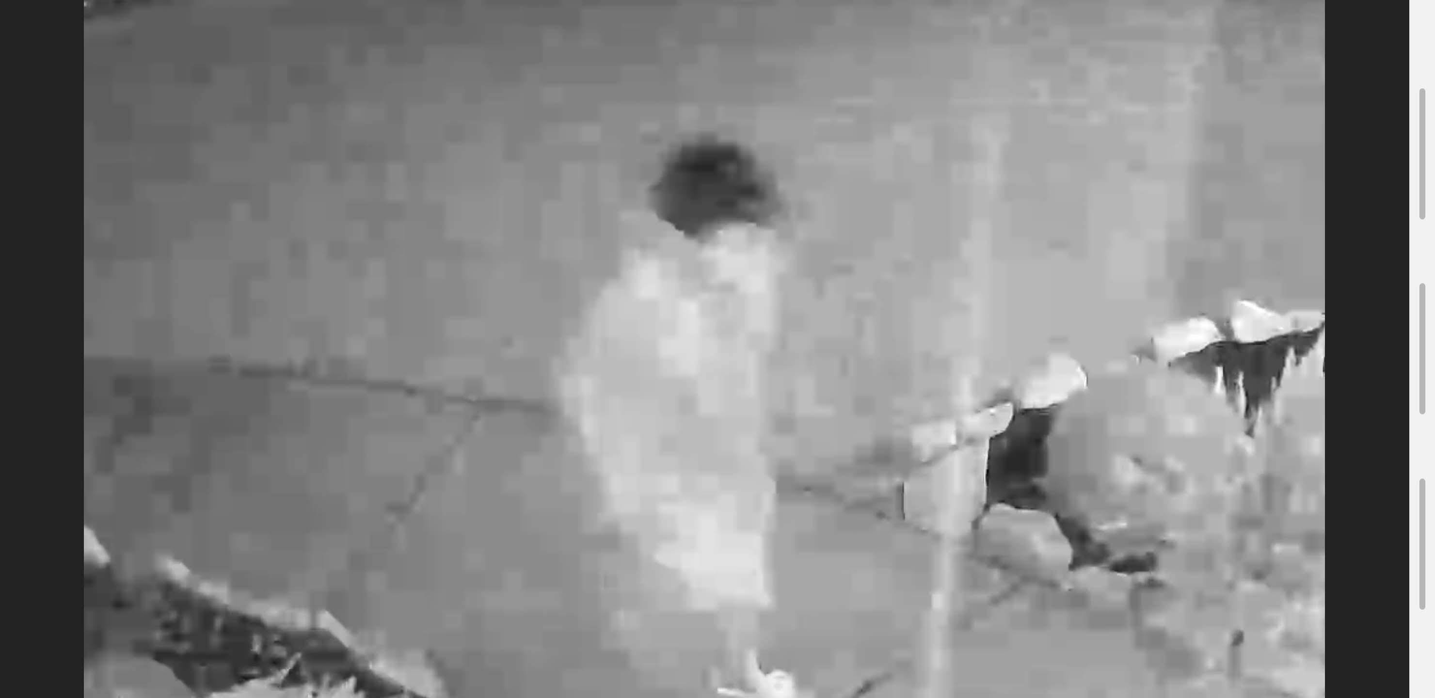 Motion pixelated at night. Picture is from approximately 10 feet away., click to load a larger version