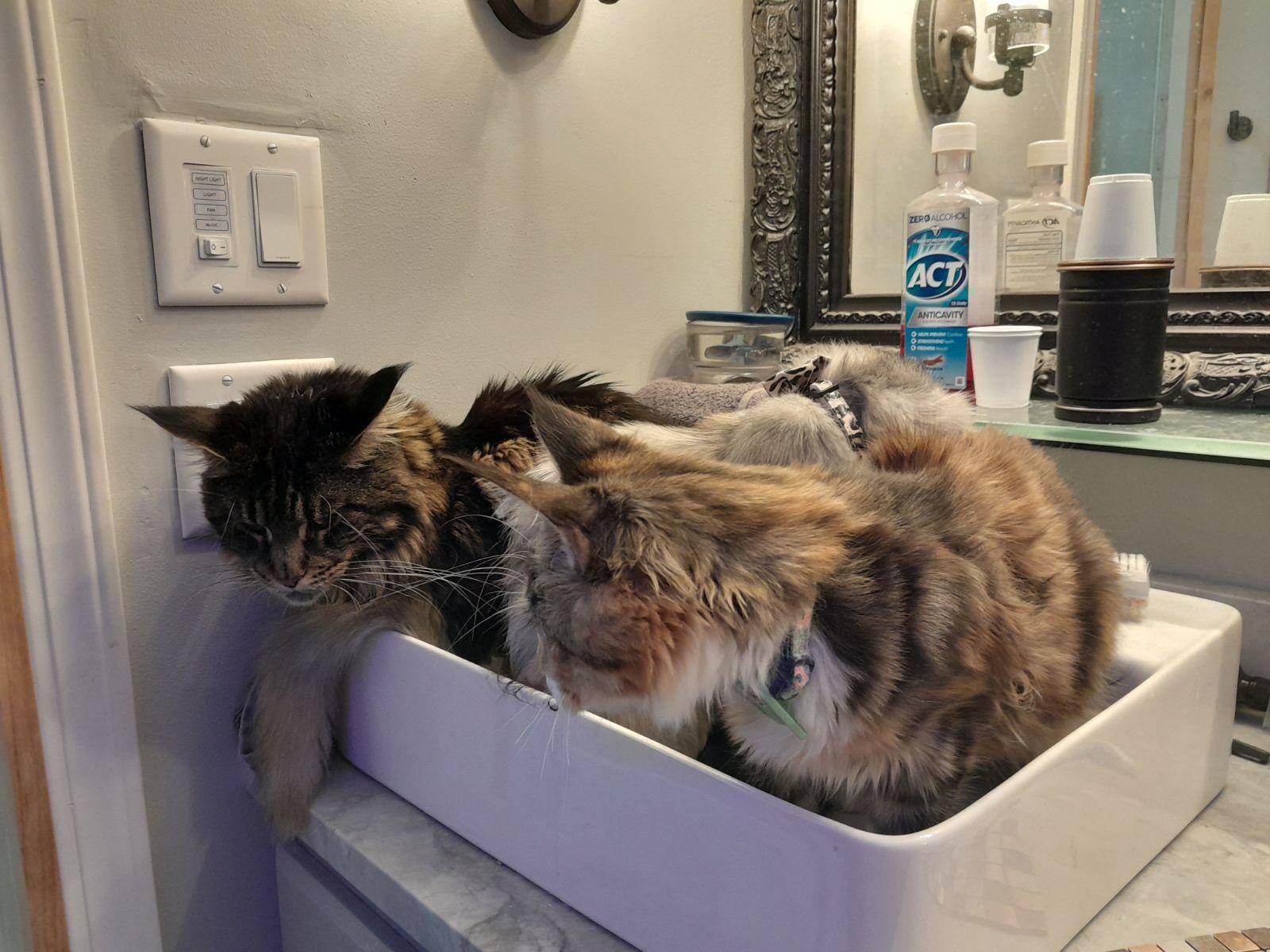 Customer provided image, click to load a larger version