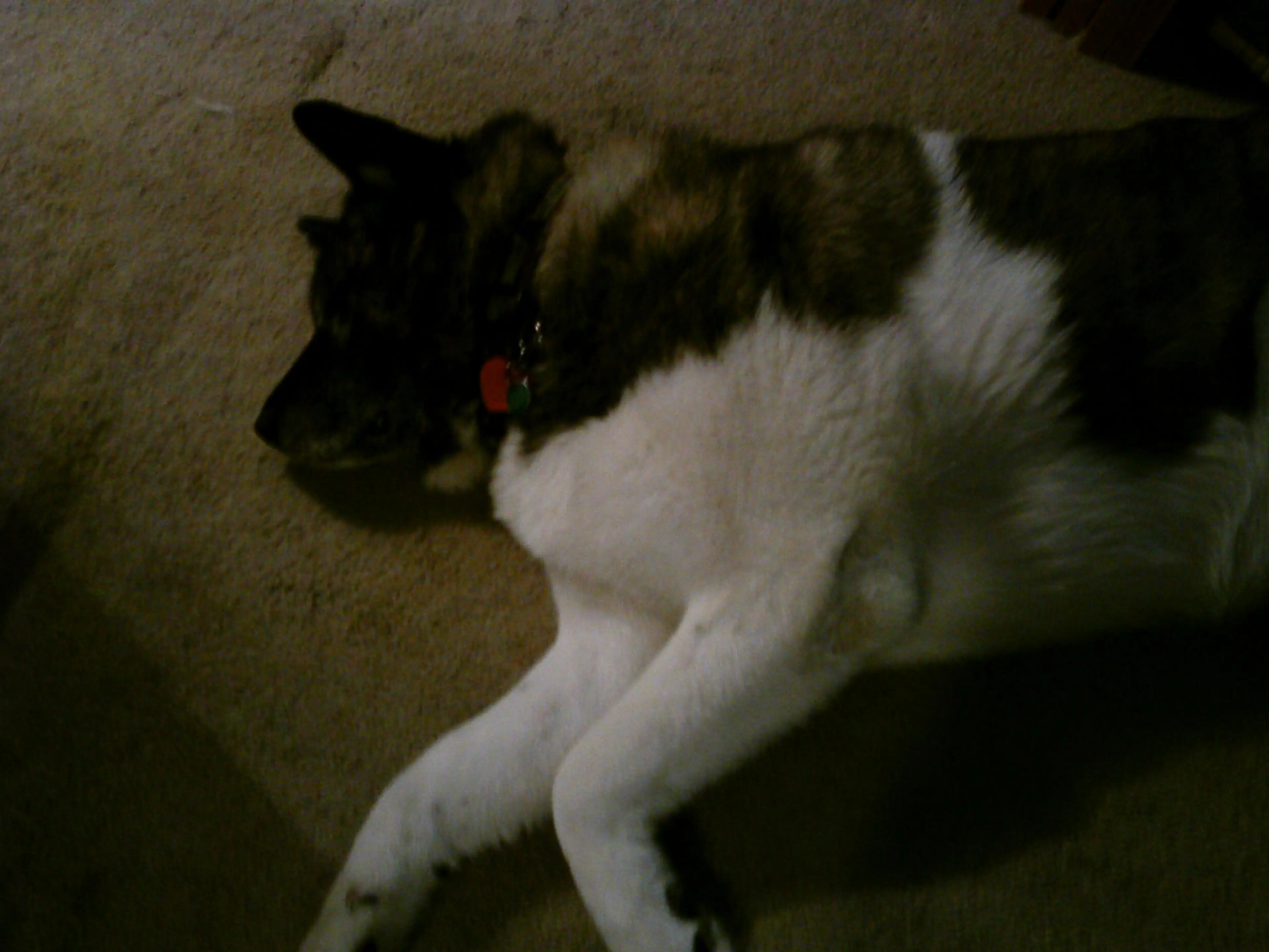 Customer provided image, click to load a larger version