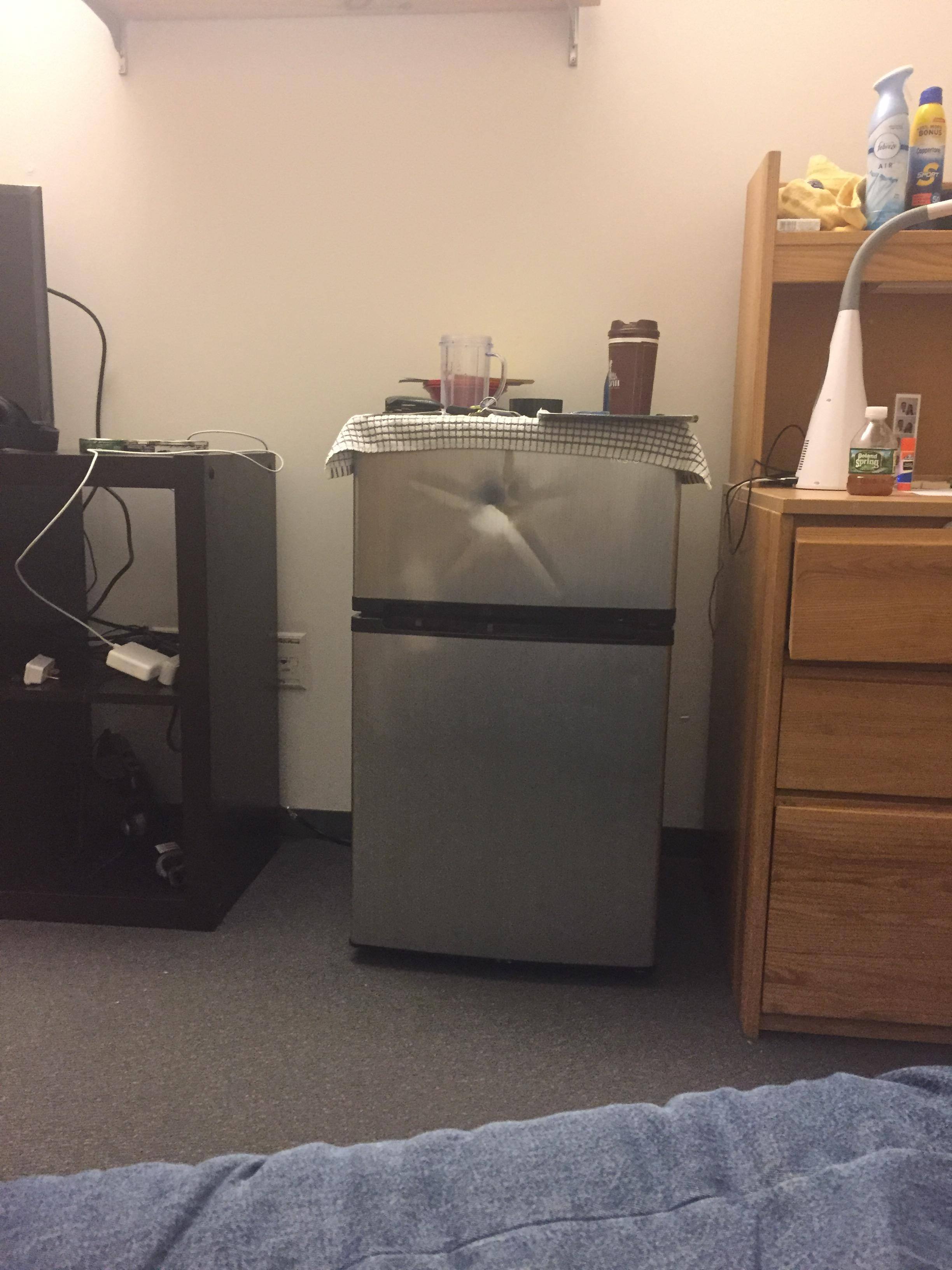 Dent on freezer door, click to load a larger version