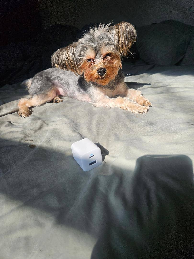 Customer provided image, click to load a larger version