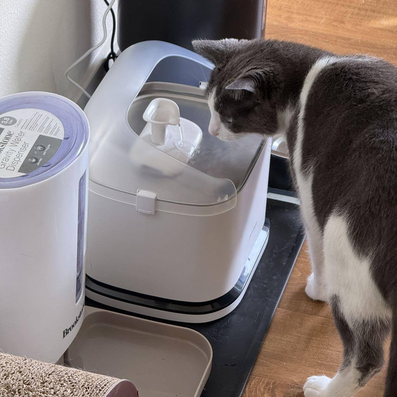 Customer provided image, click to load a larger version