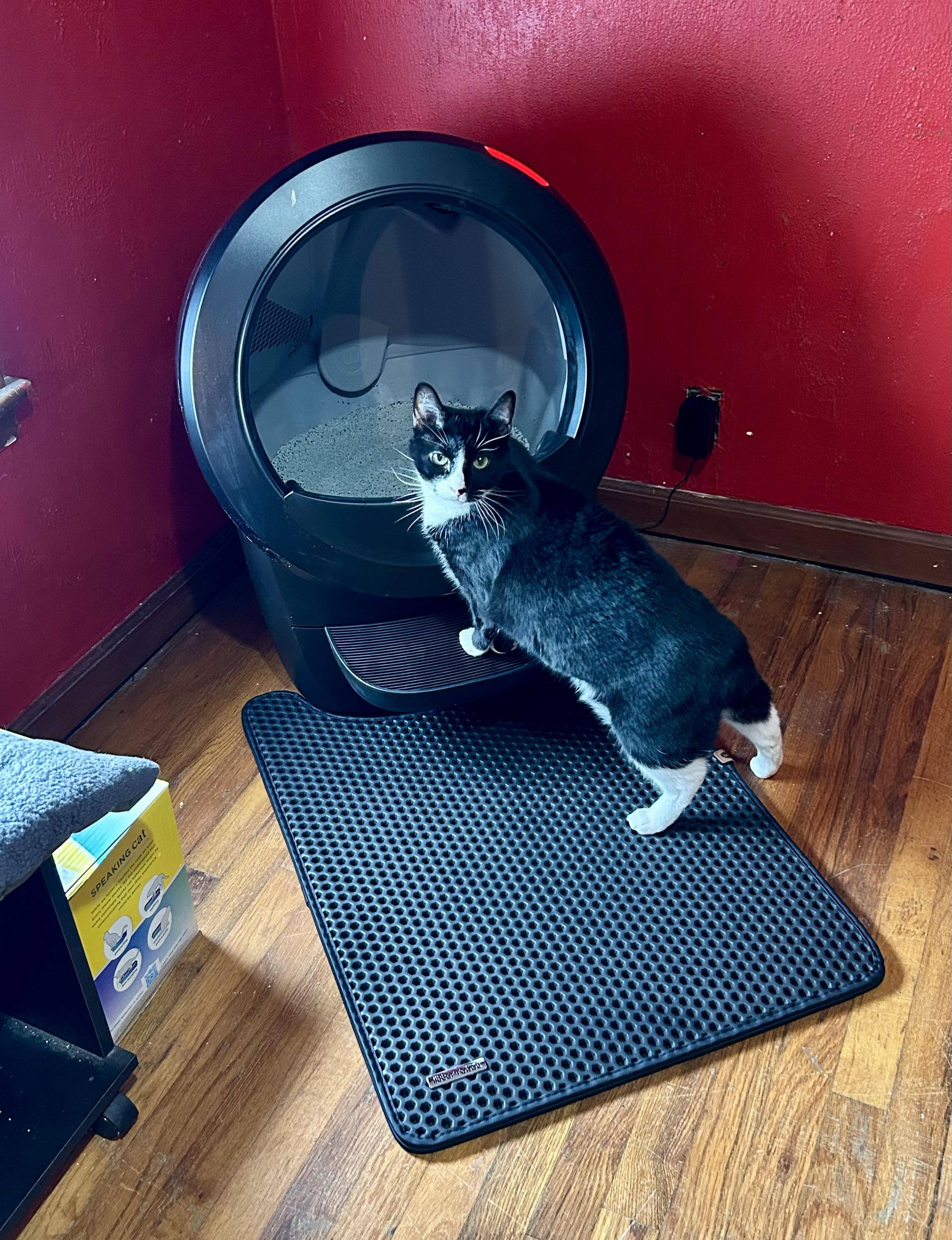 Customer provided, click to load a larger version