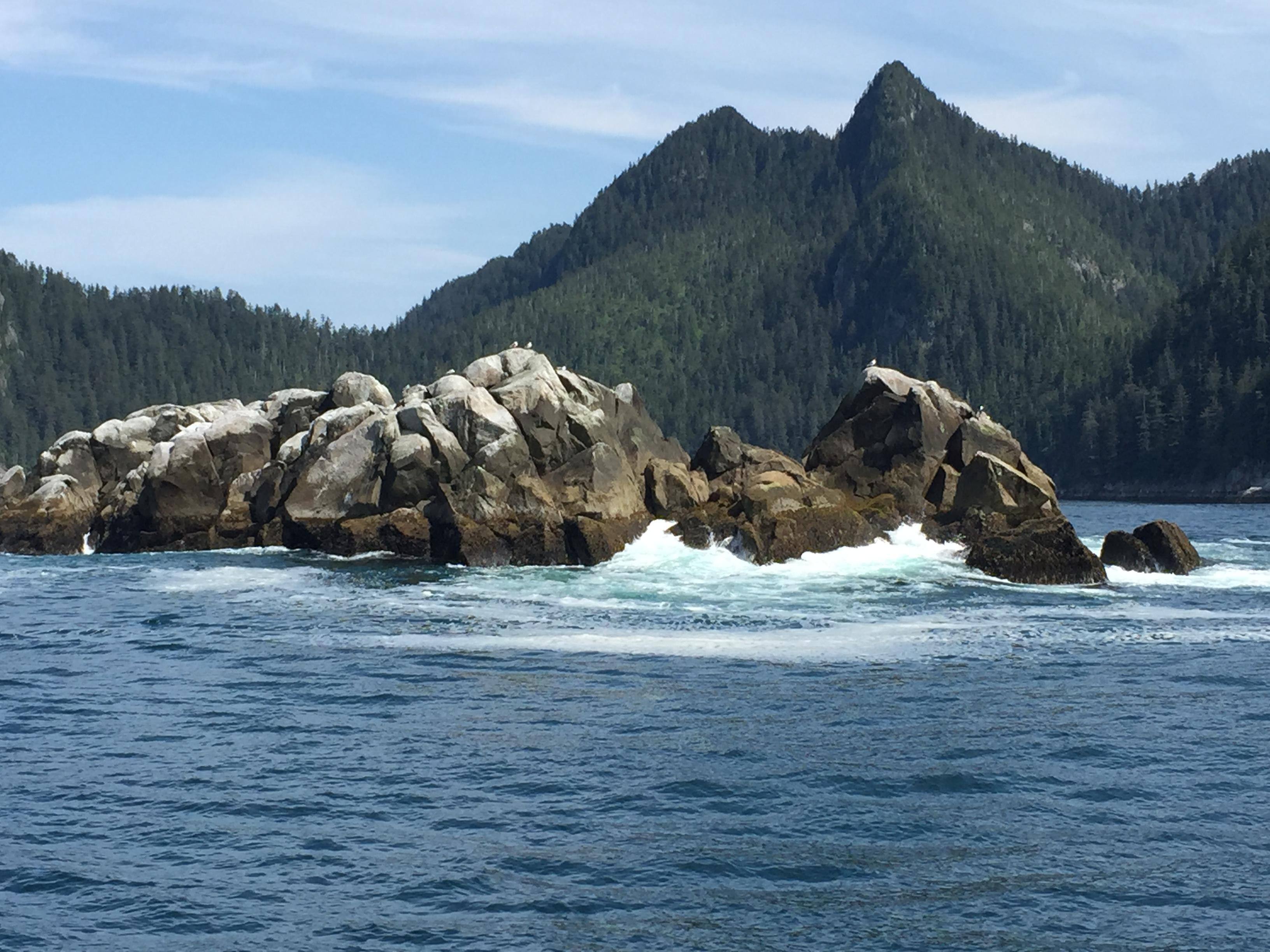 This is a photo taken with the camera I bought. The zoom lens allowed me to take pictures that were far away and still make them look good., click to load a larger version