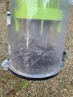 Results after my other vacuum failed to really clean!, click to load a larger version