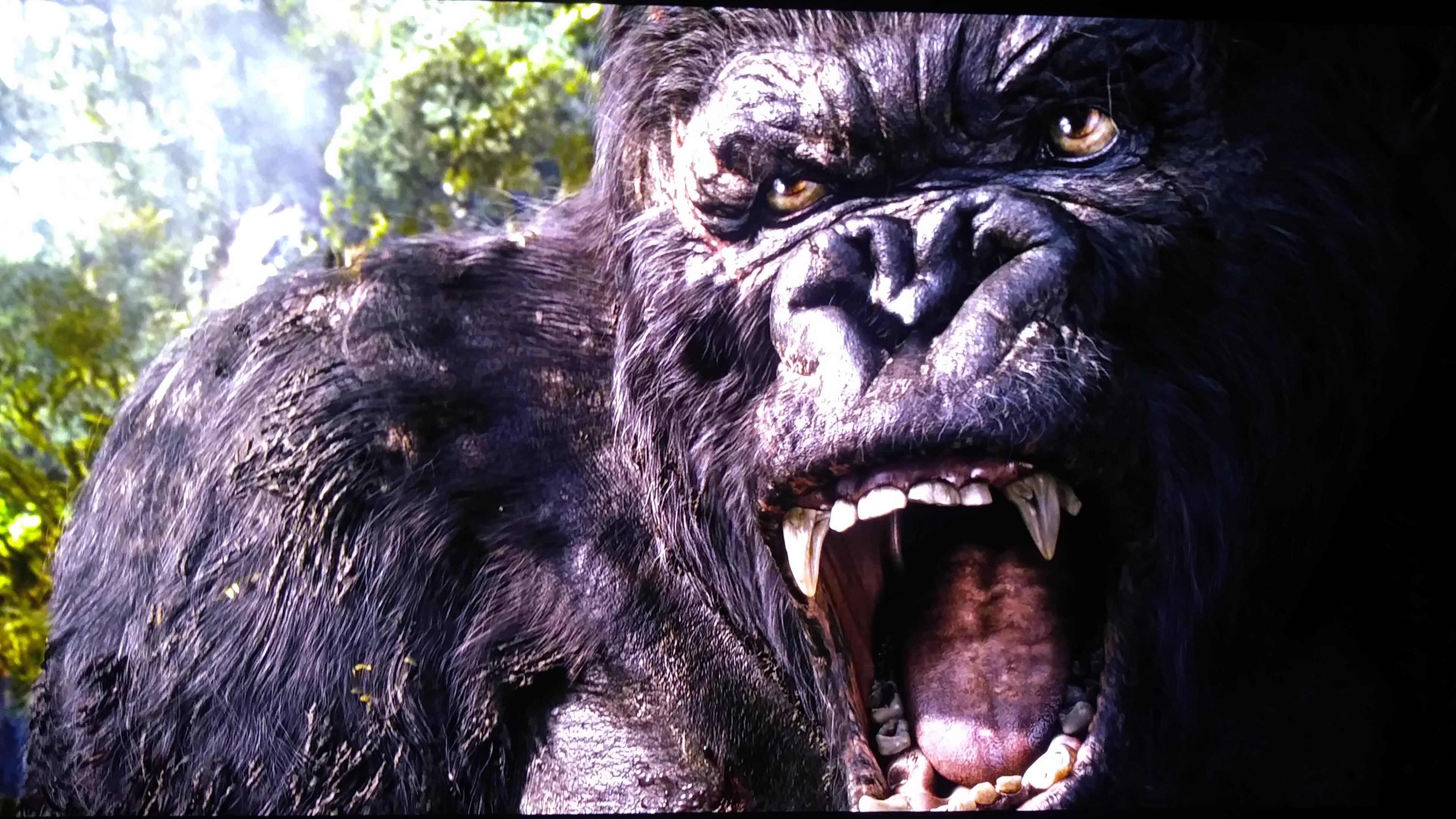 Kong is king, click to load a larger version