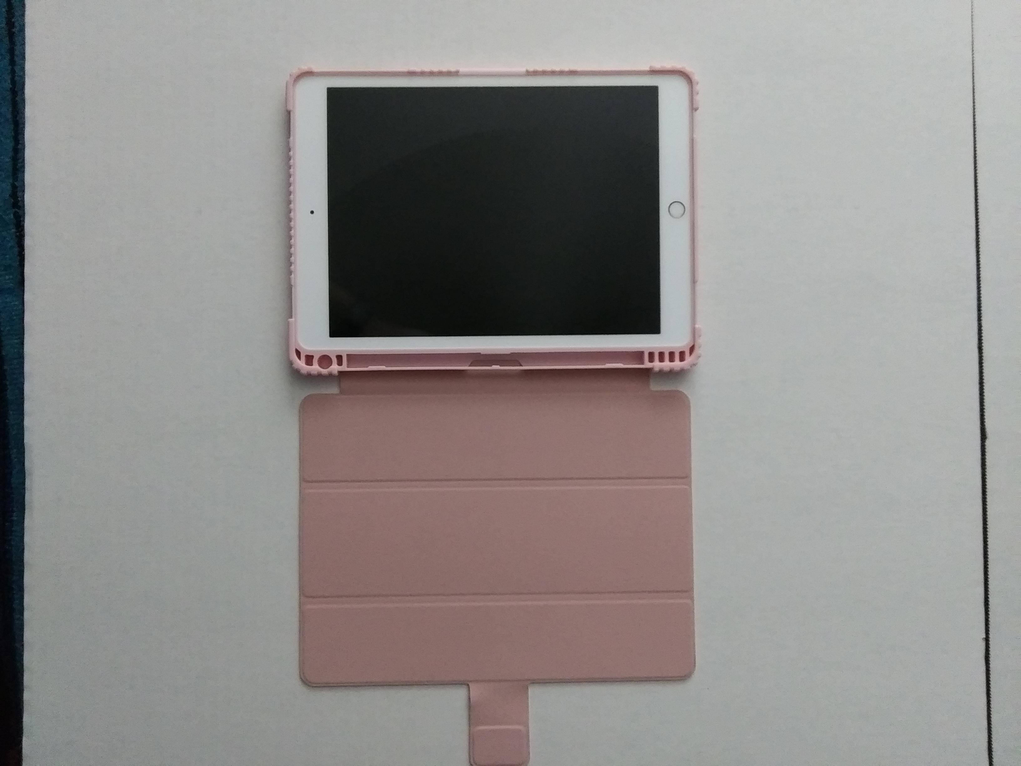 Open Case with iPad, click to load a larger version