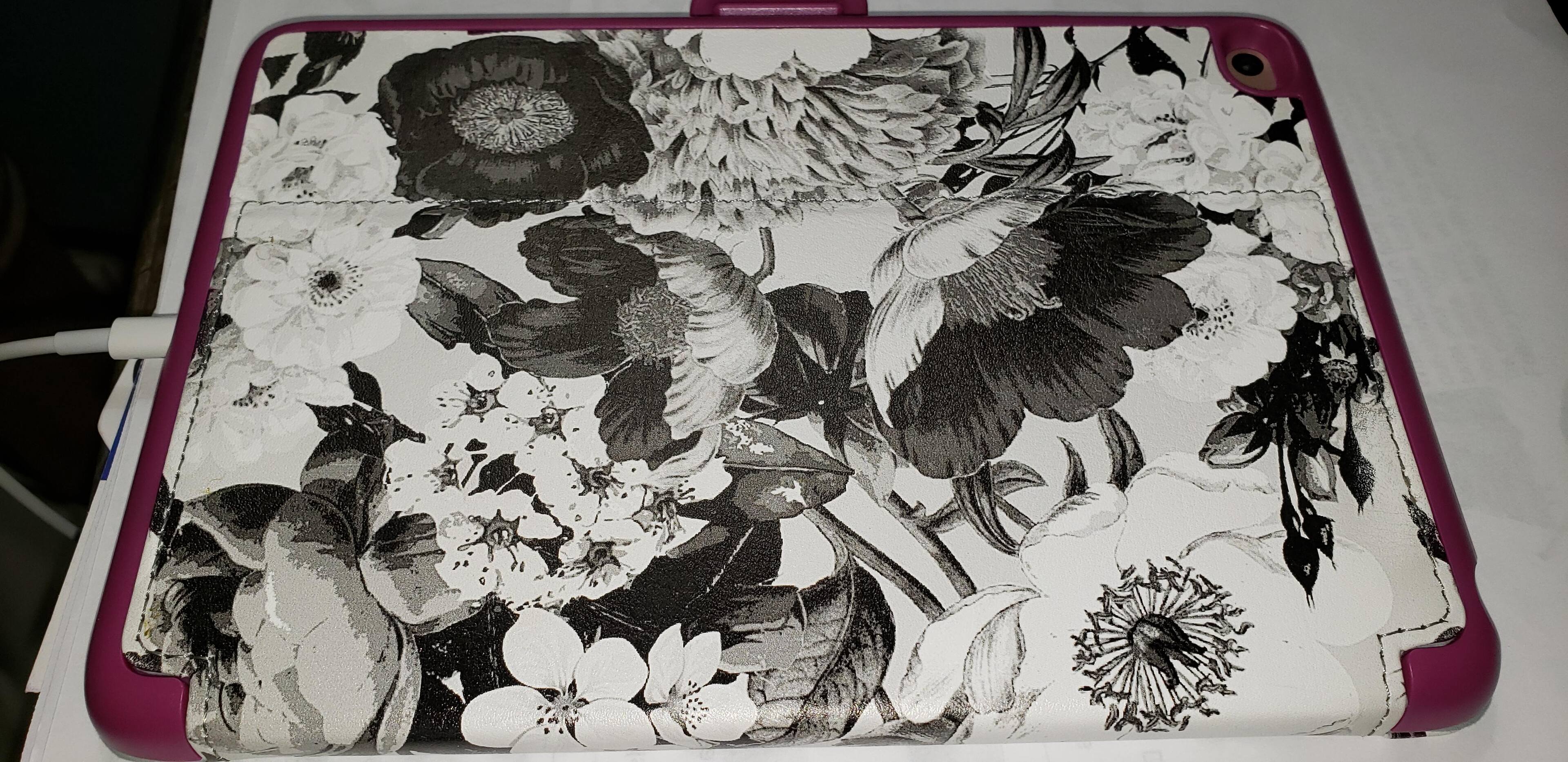 Beautiful case, click to load a larger version