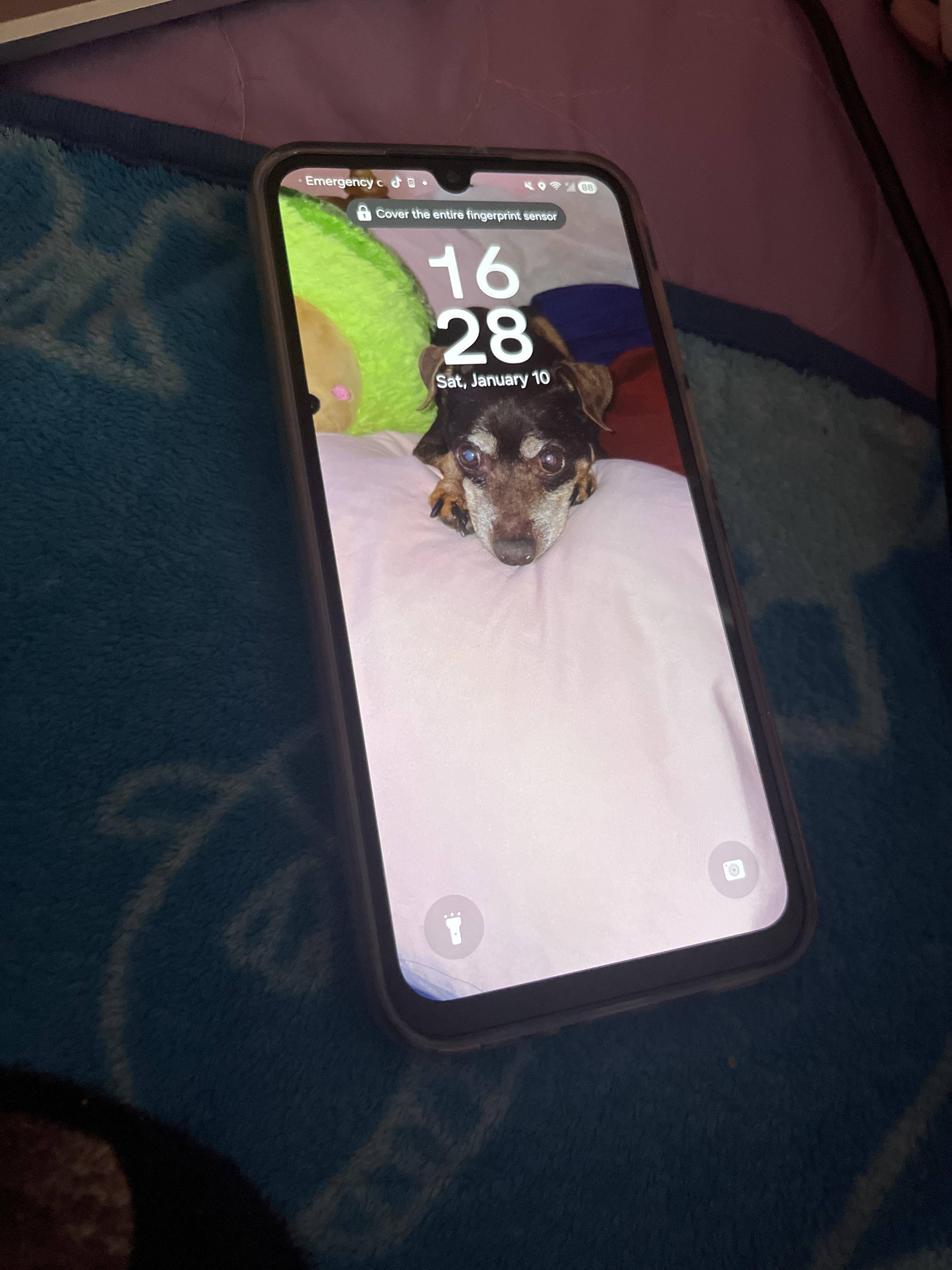 Customer provided image, click to load a larger version