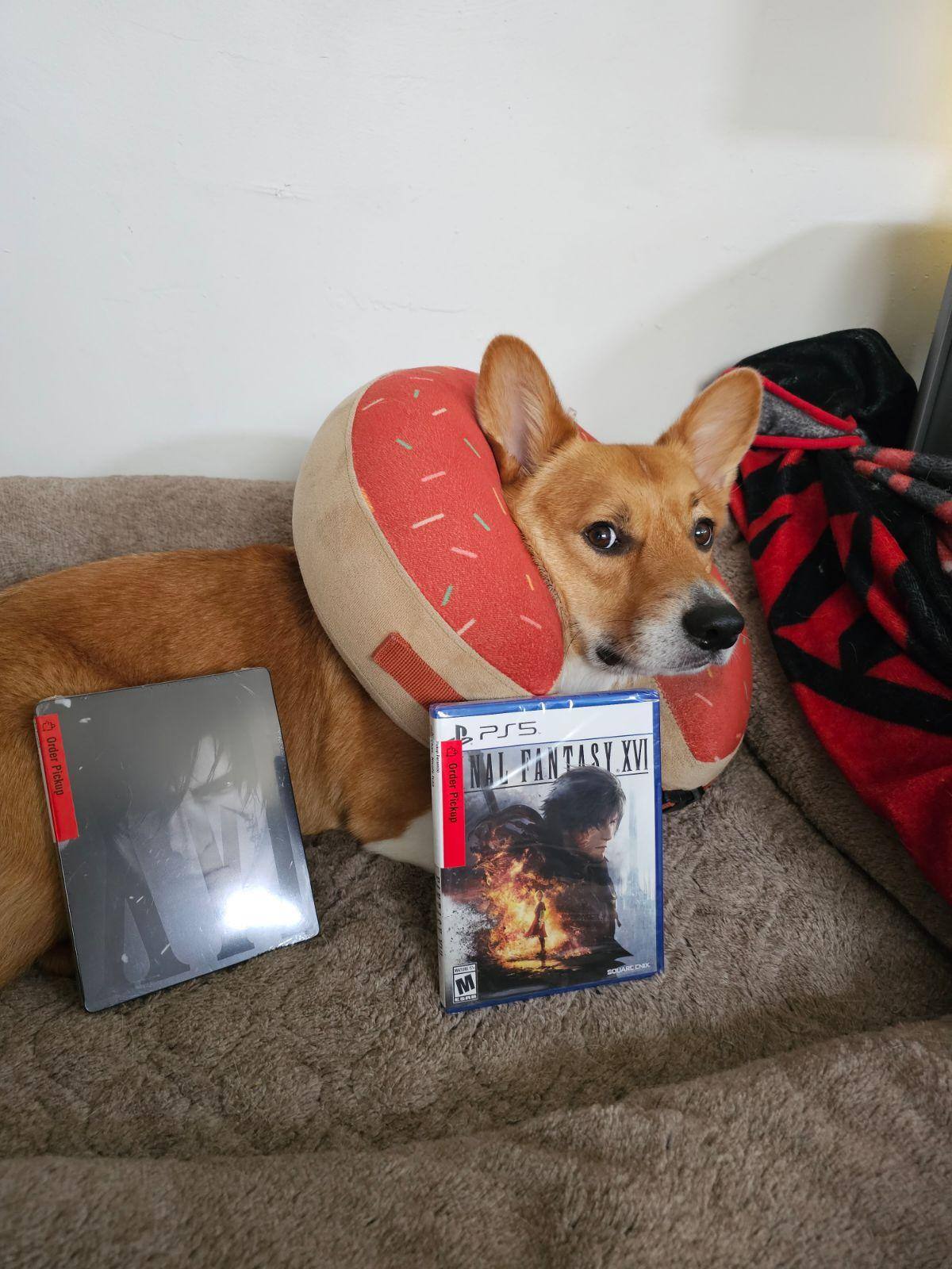 Customer provided, click to load a larger version