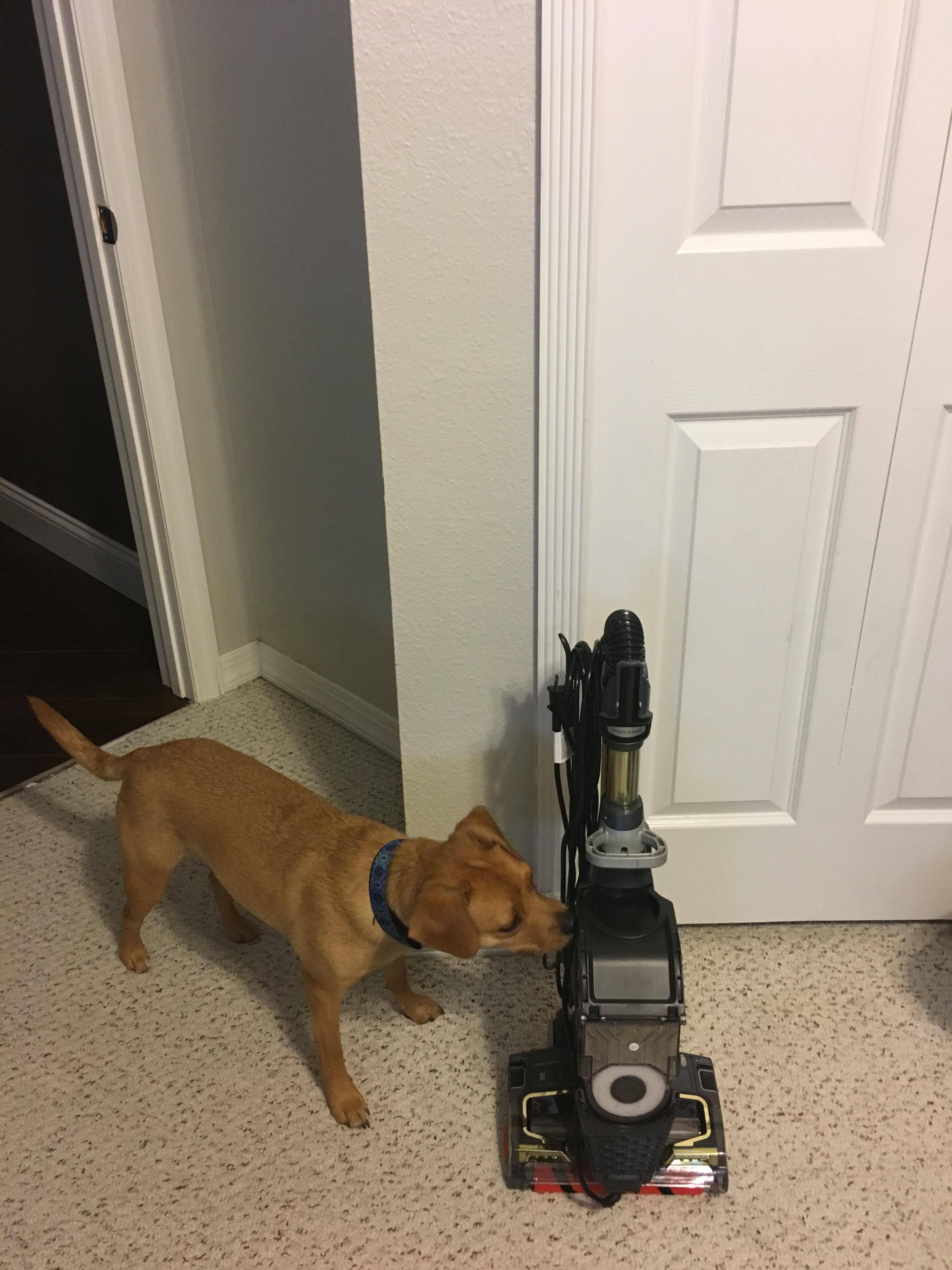 Folds up so small, click to load a larger version