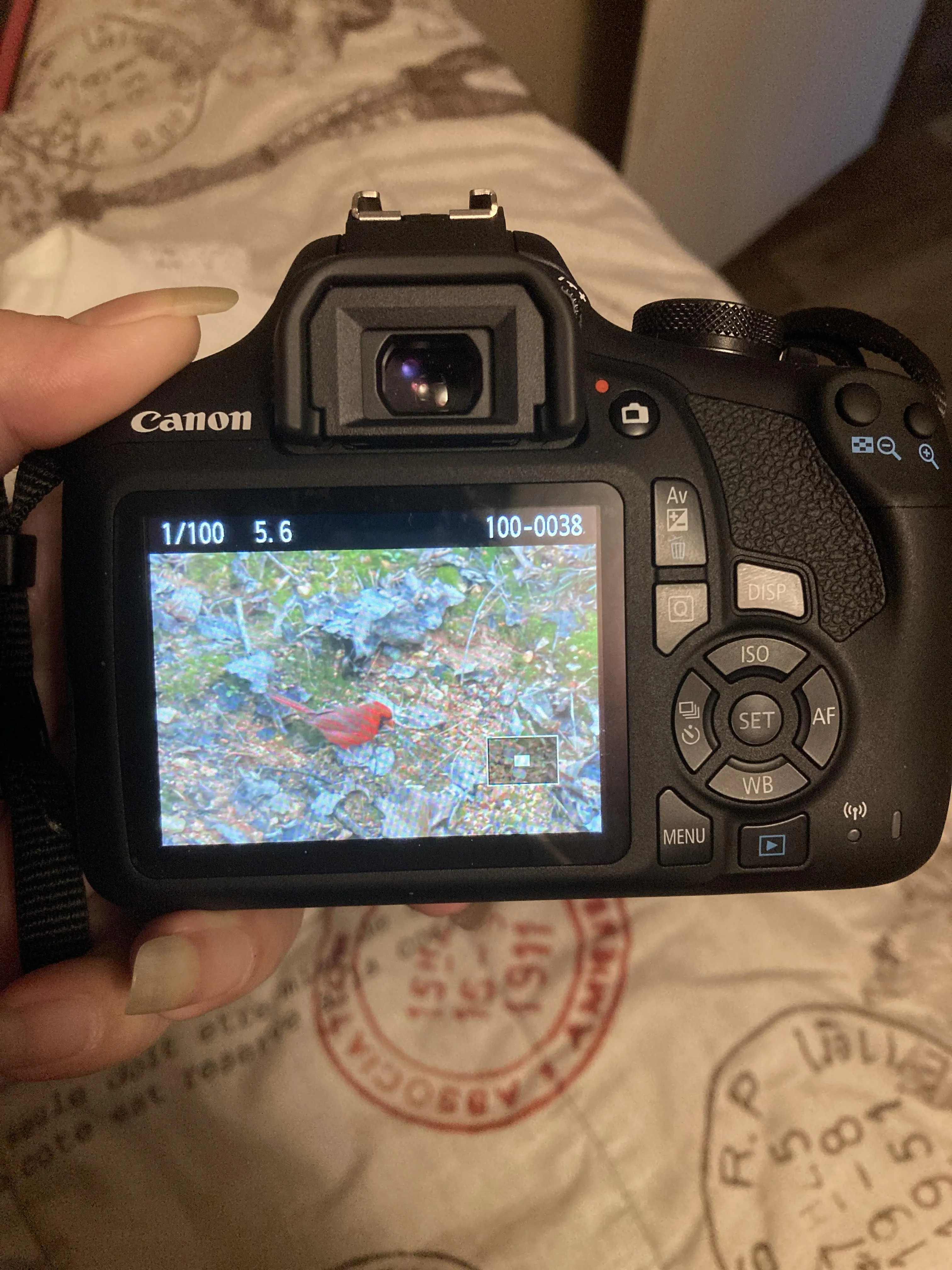 Customer provided, click to load a larger version