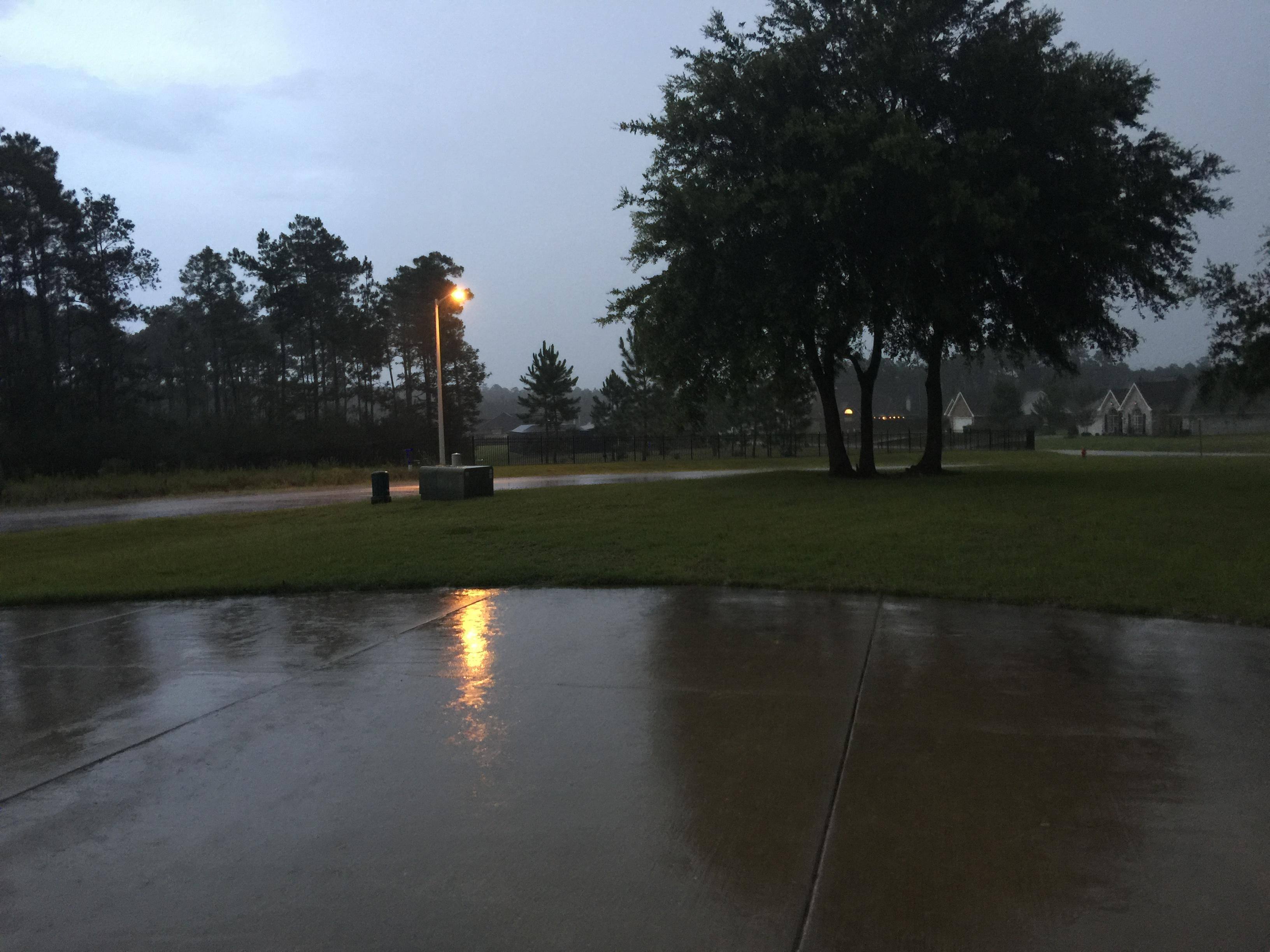 Rainy Day, click to load a larger version