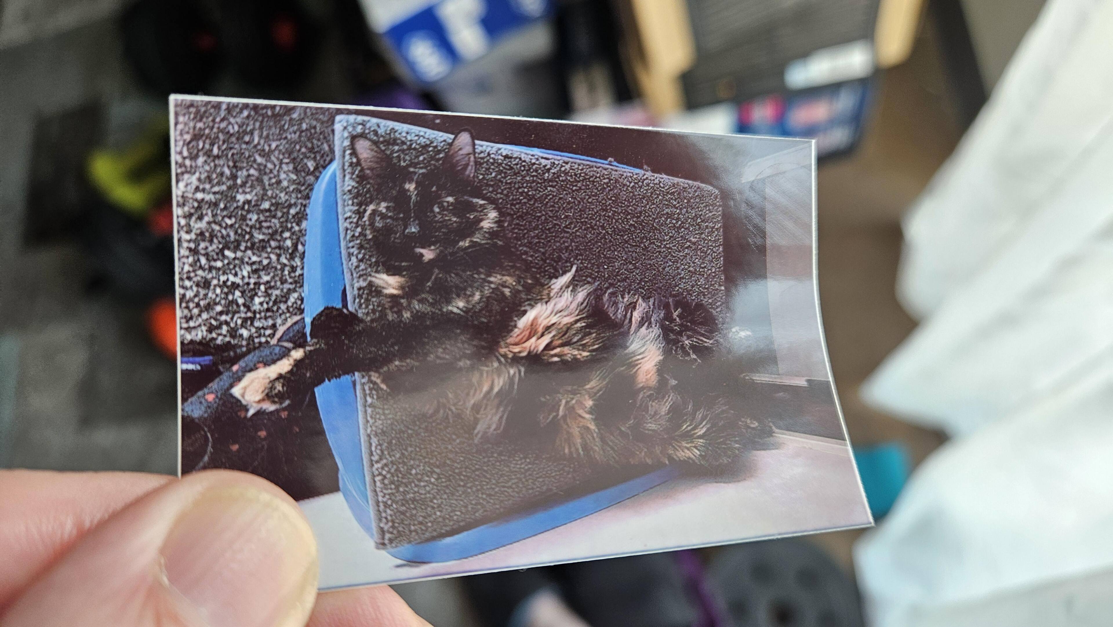 Customer provided image, click to load a larger version