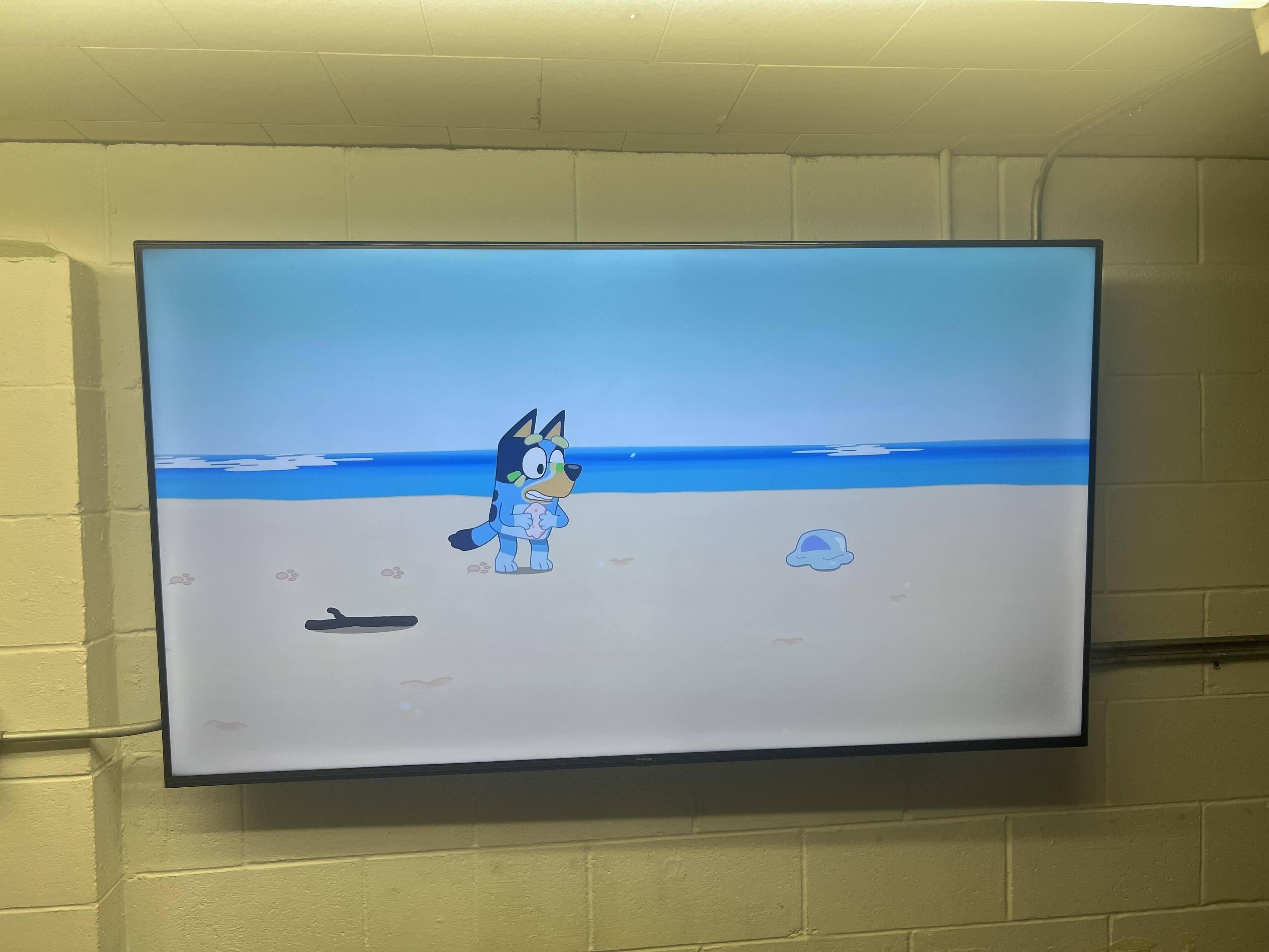 Customer provided image, click to load a larger version